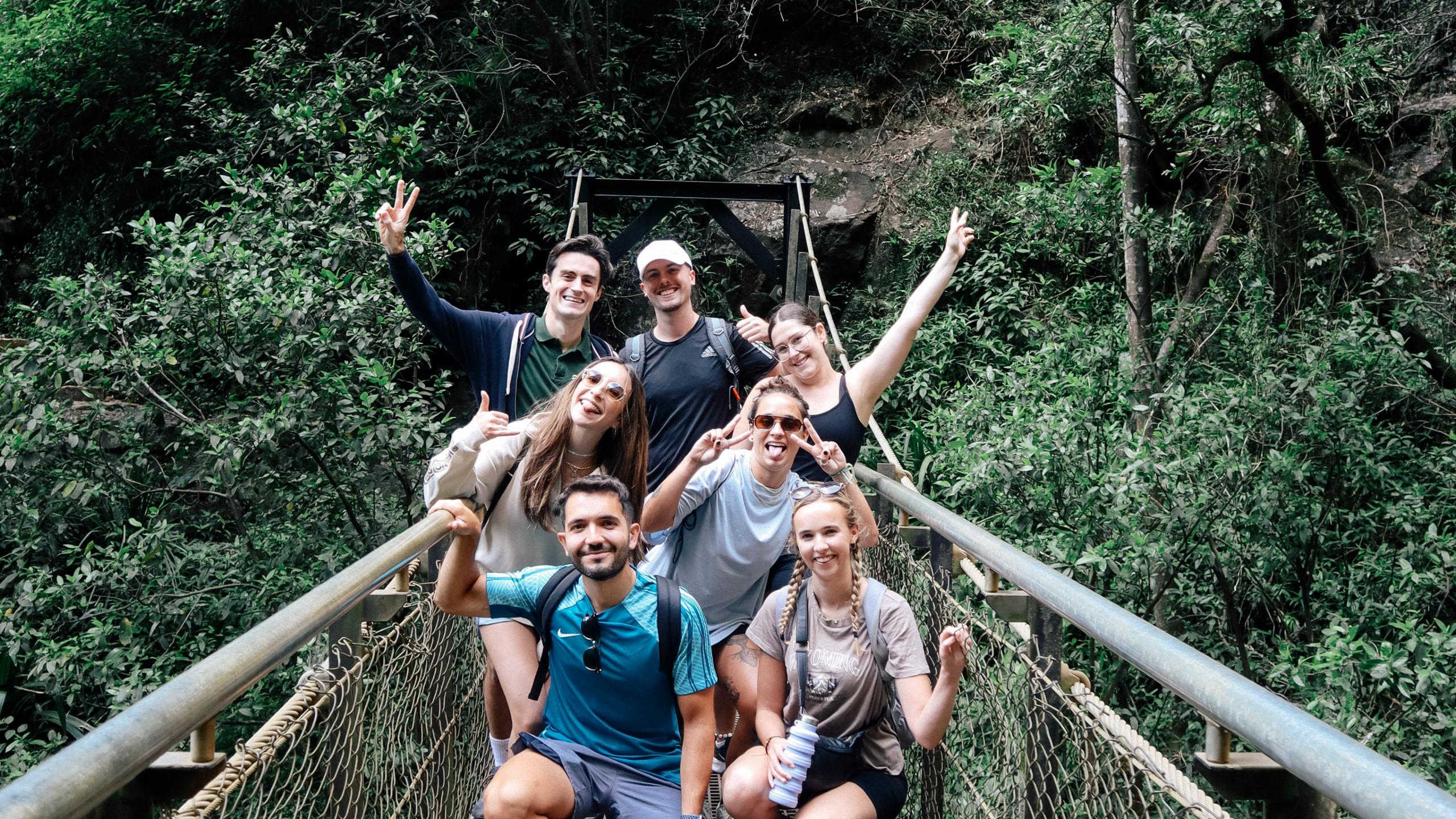 Springbrook Rainforest & Waterfalls with Koala Spotting