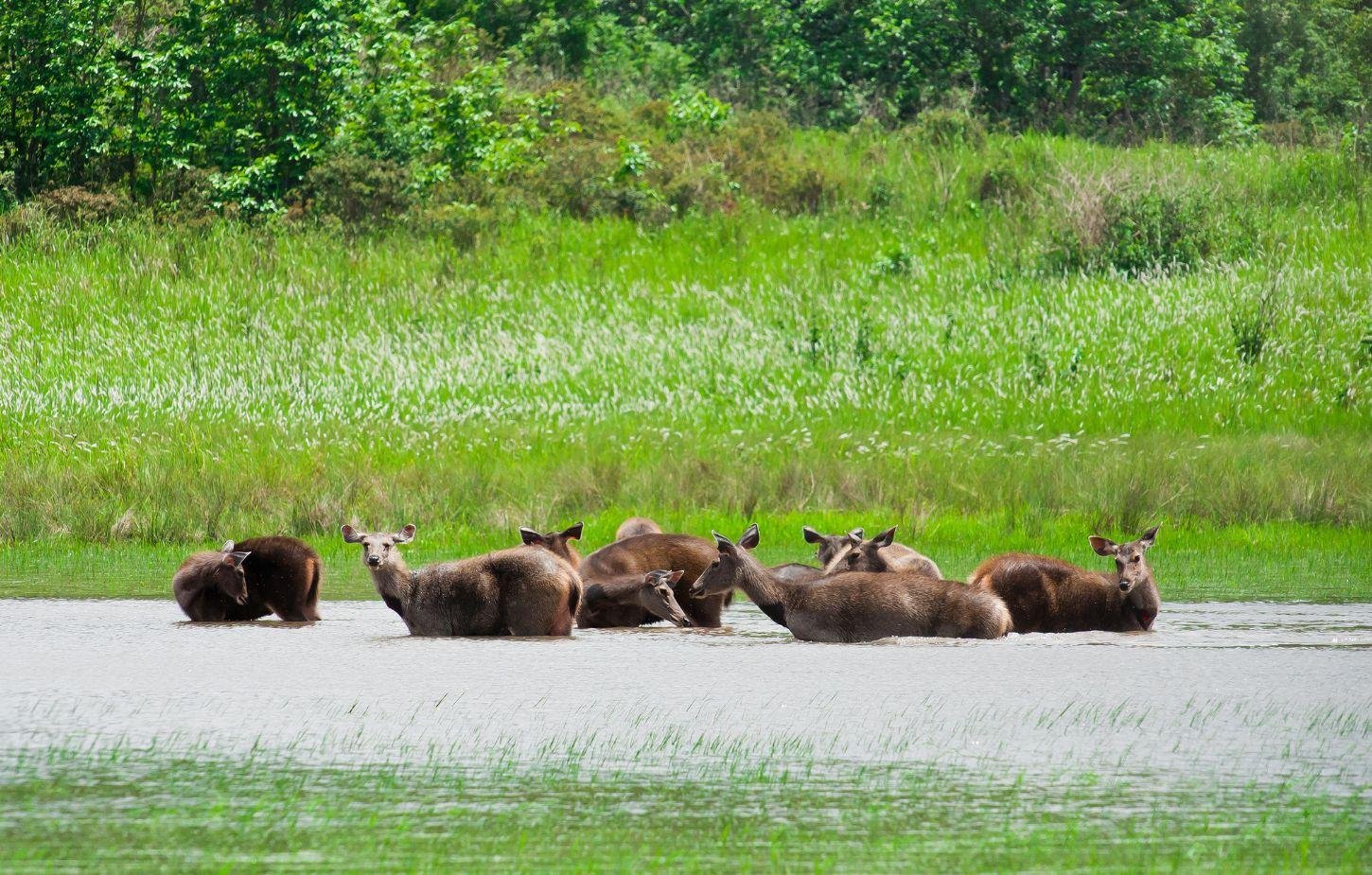 Bangkok to Khao Yai National Park Day Trip