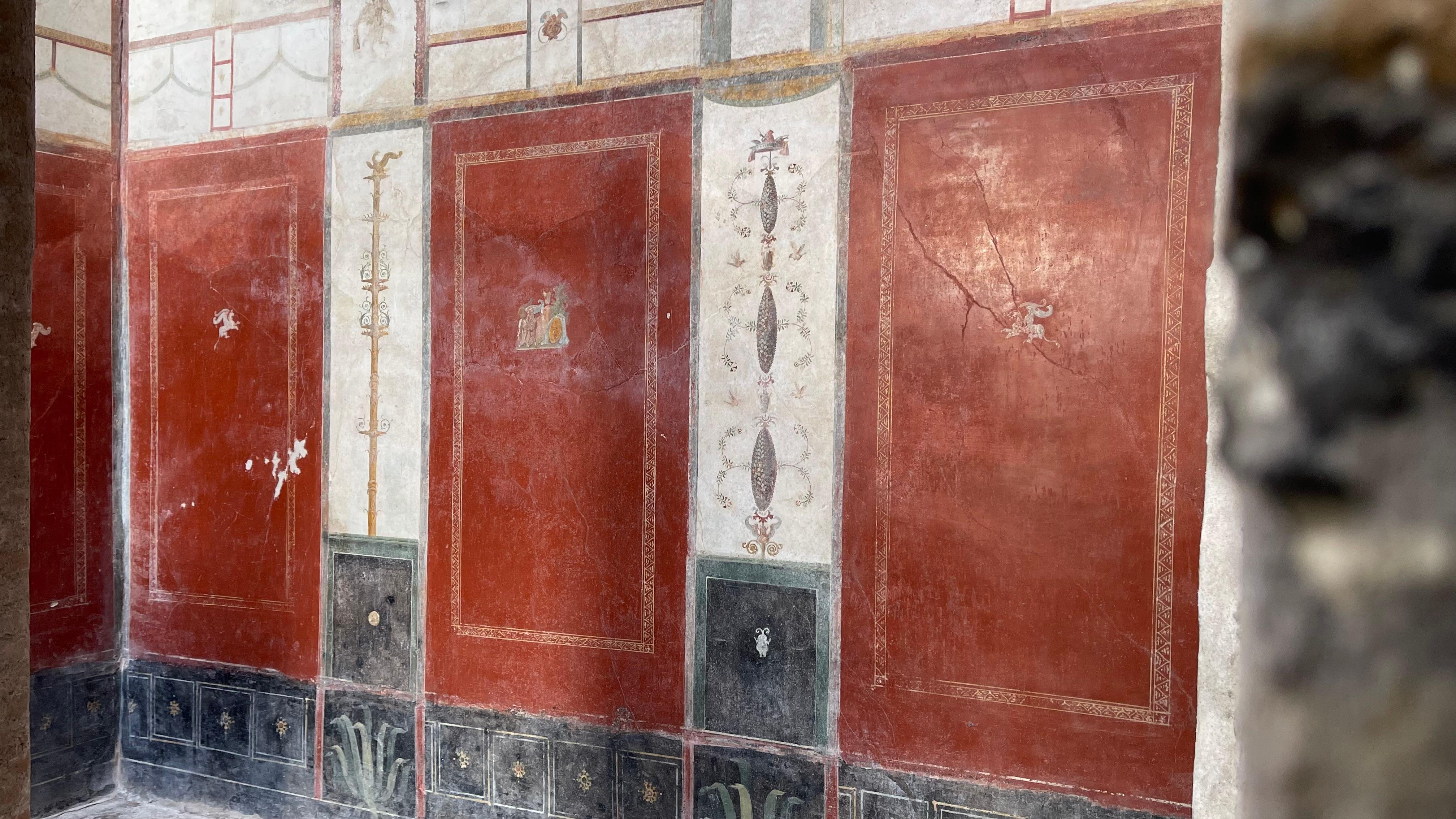 Pompeii Discovery Tour from Naples with Skip-the-Line Access