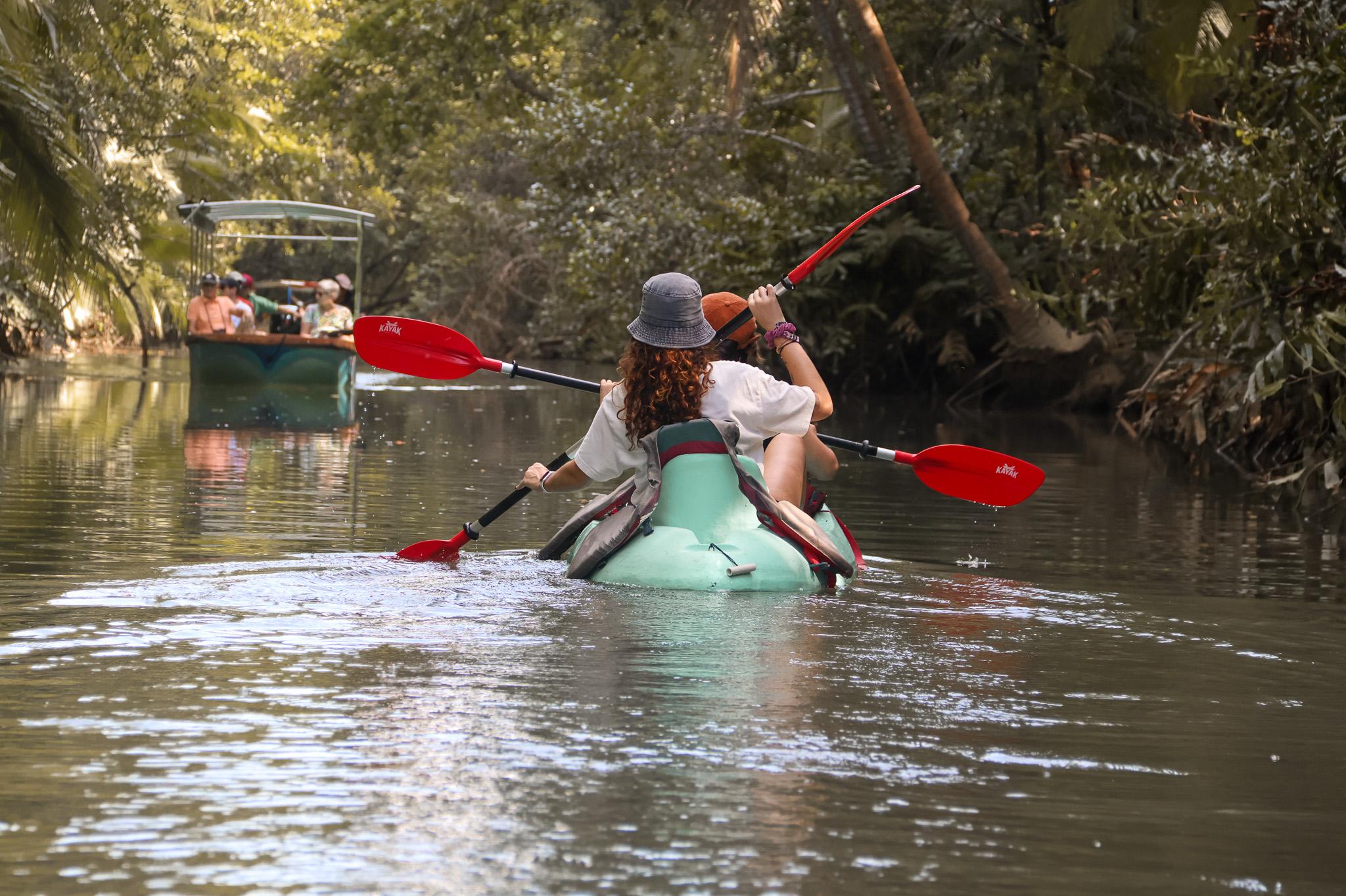 Quepos Mangrove Kayak Tour near Manuel Antonio