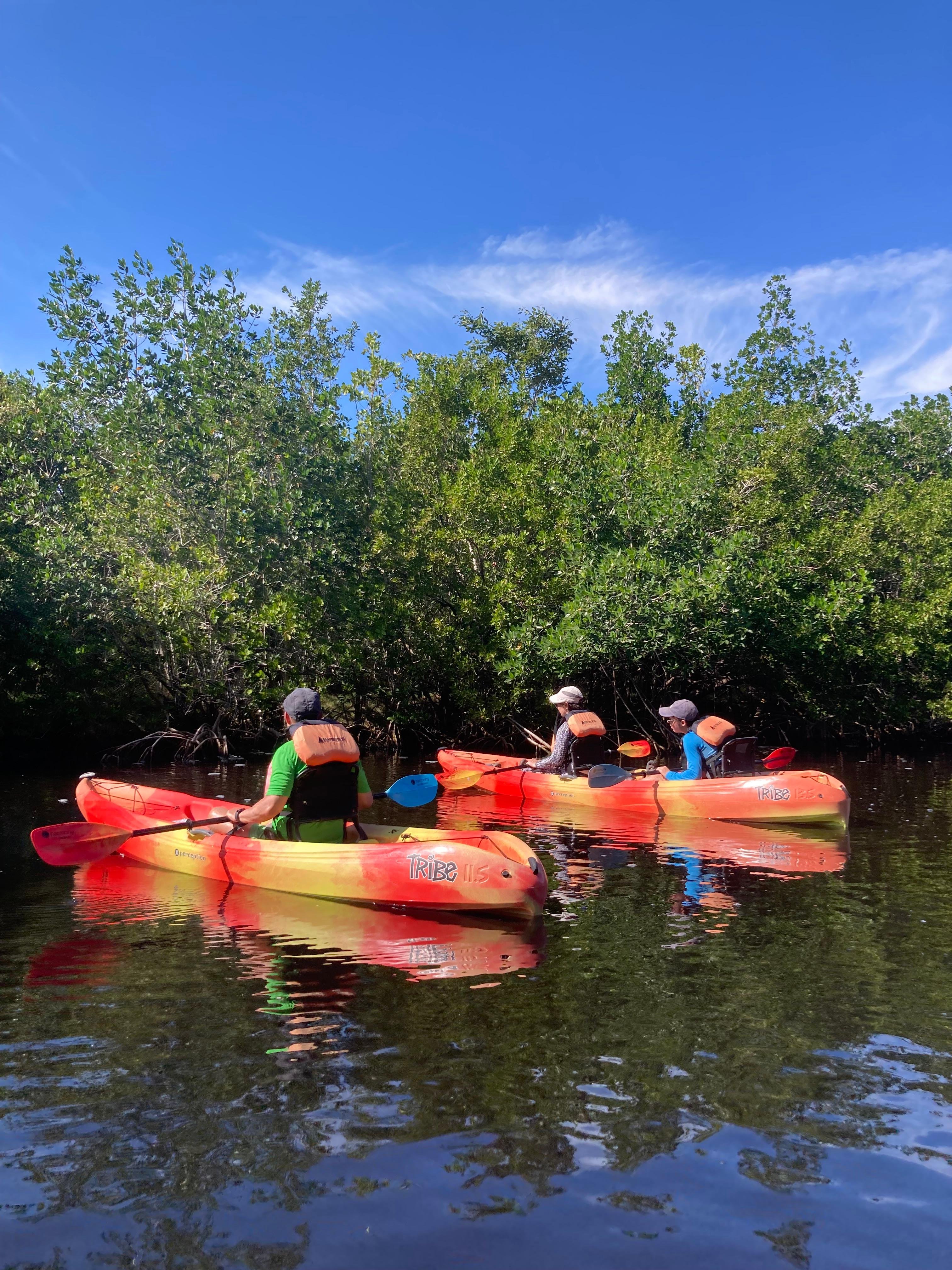 Full-Day Everglades Kayaking & Hiking Expedition from Miami