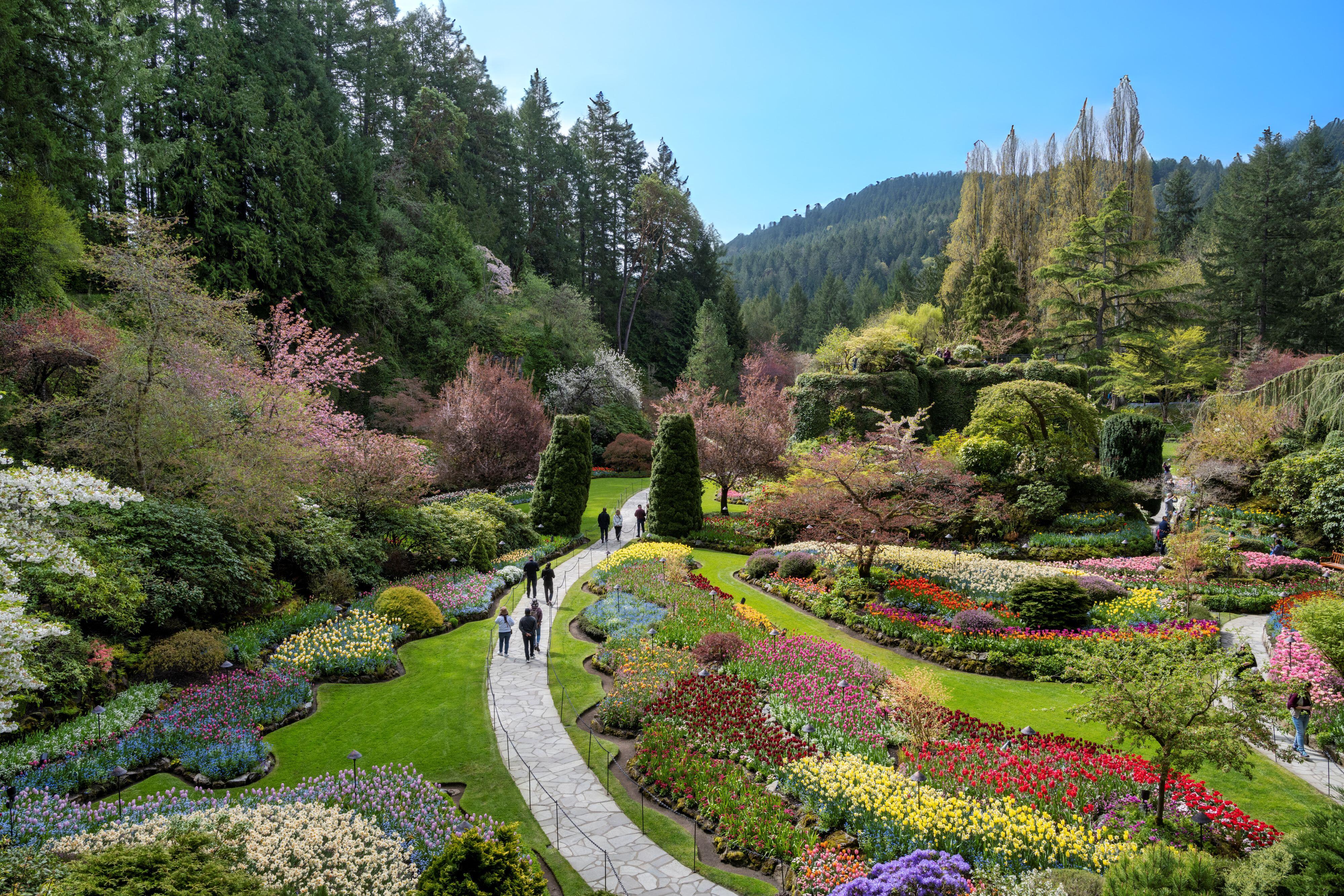Butchart Gardens — the Sunken Garden, Rose Garden and Japanese Garden — image 28