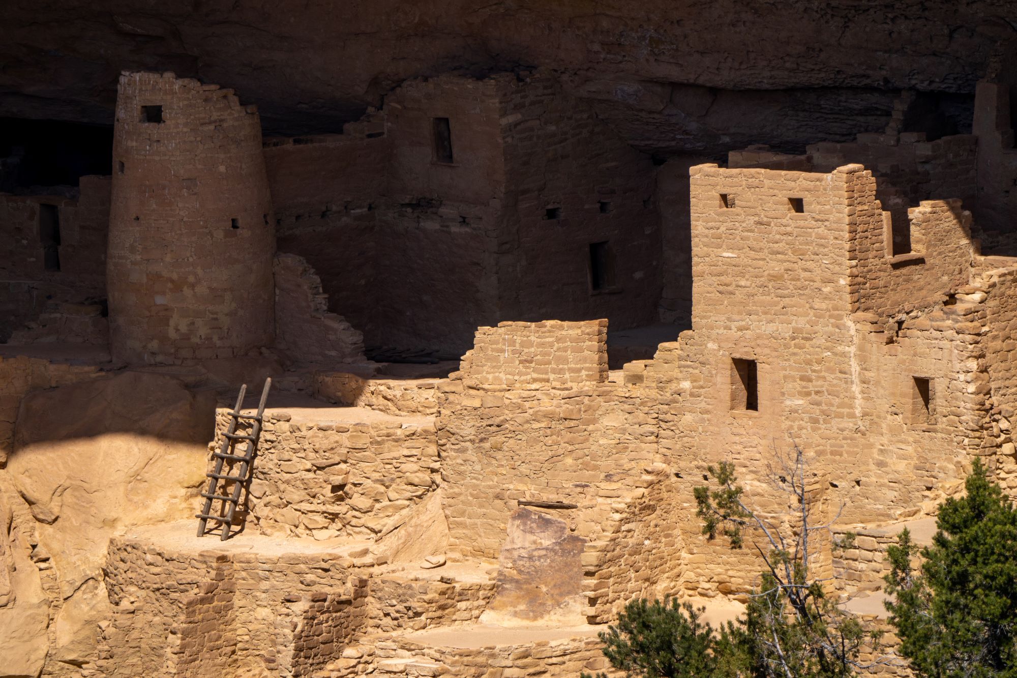 Mesa Verde Express with Cliff Palace Ranger Tour