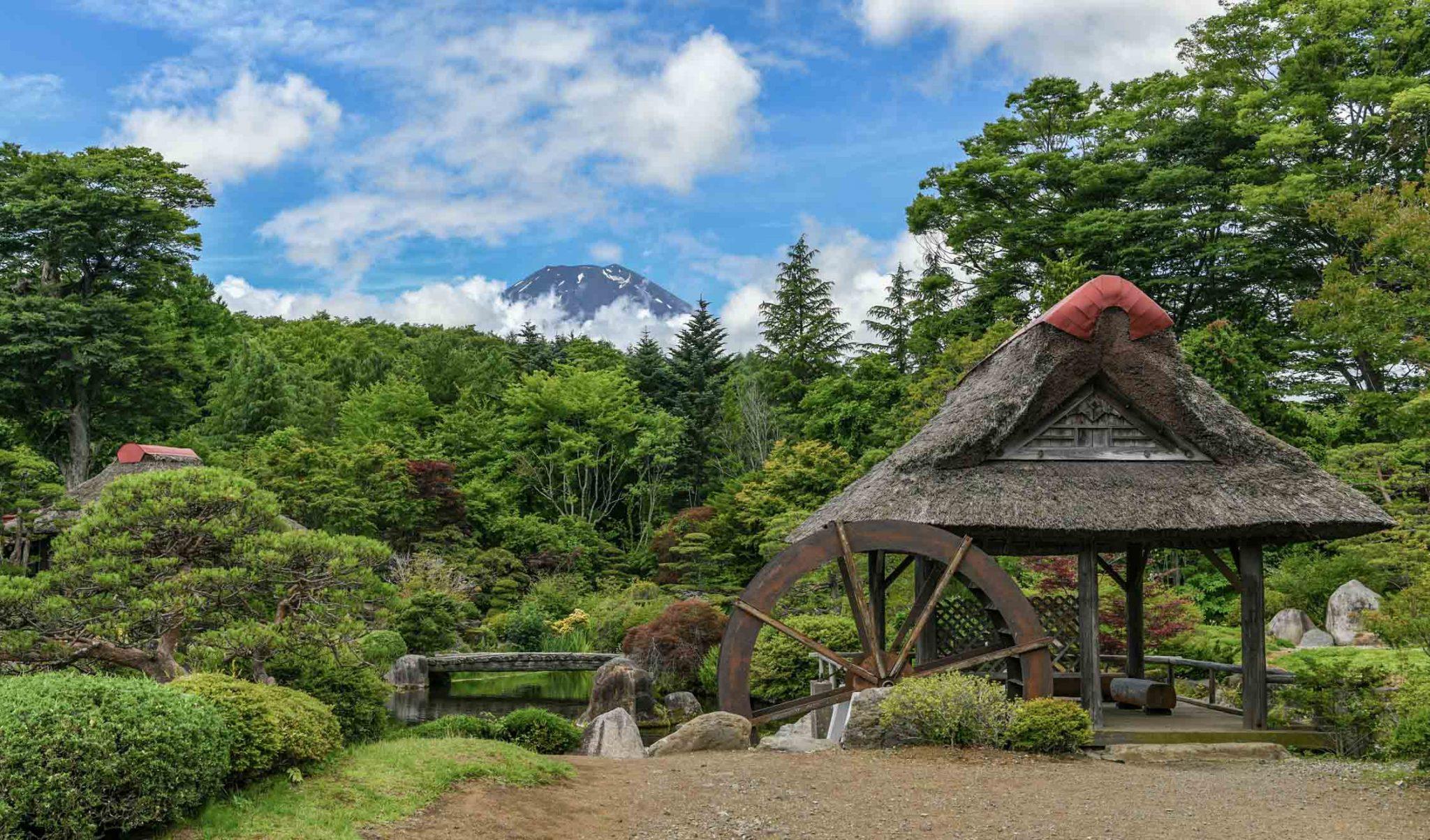 Private Mount Fuji Custom Day Trip from Tokyo