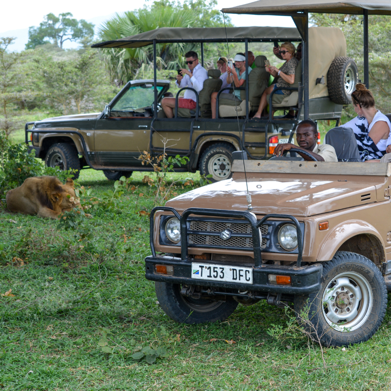 Zanzibar to Selous: Full-Day Safari with Bush Lunch (+ 2-Day Option)