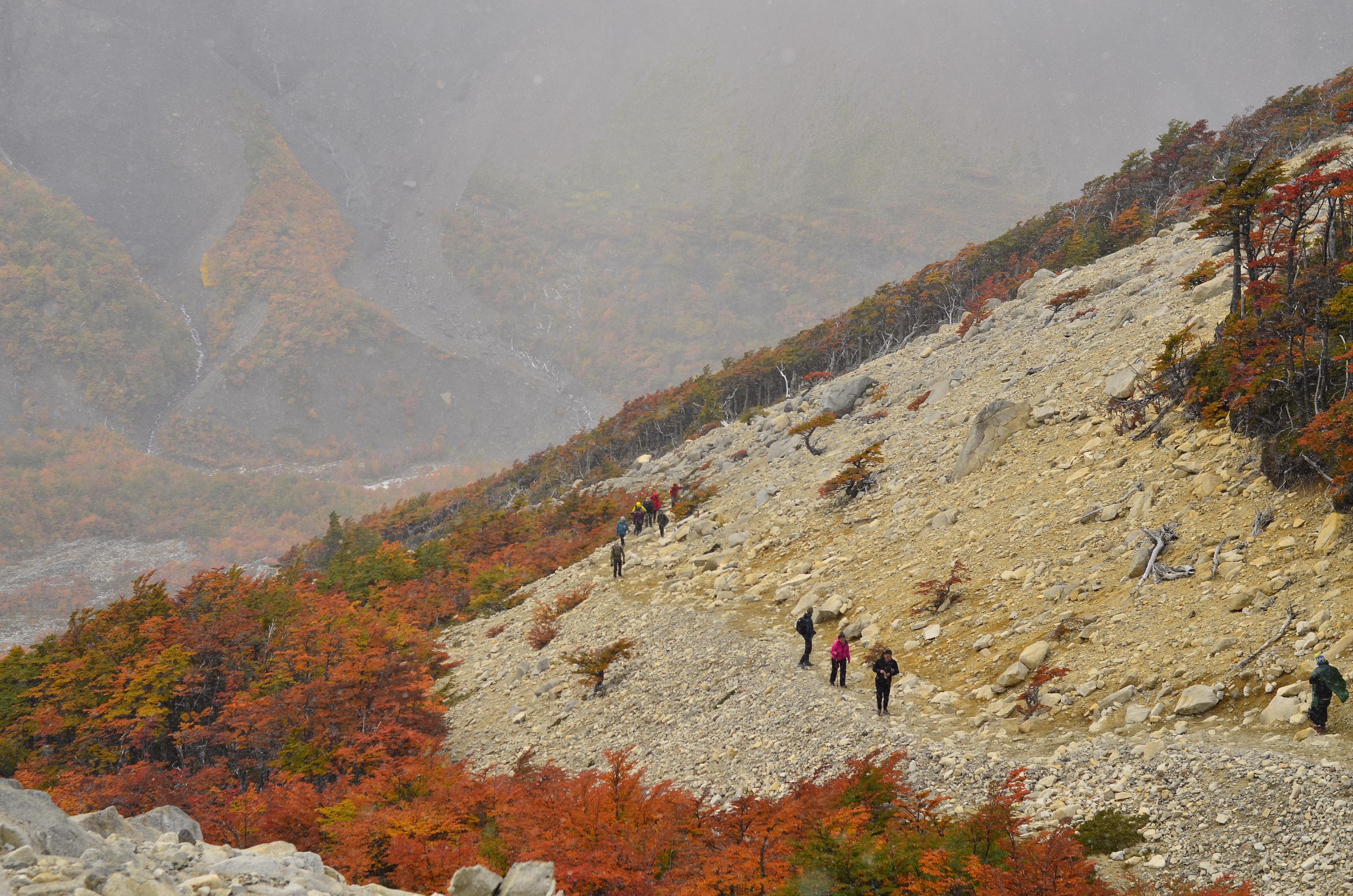 Private Full-Day Las Torres del Paine Expedition