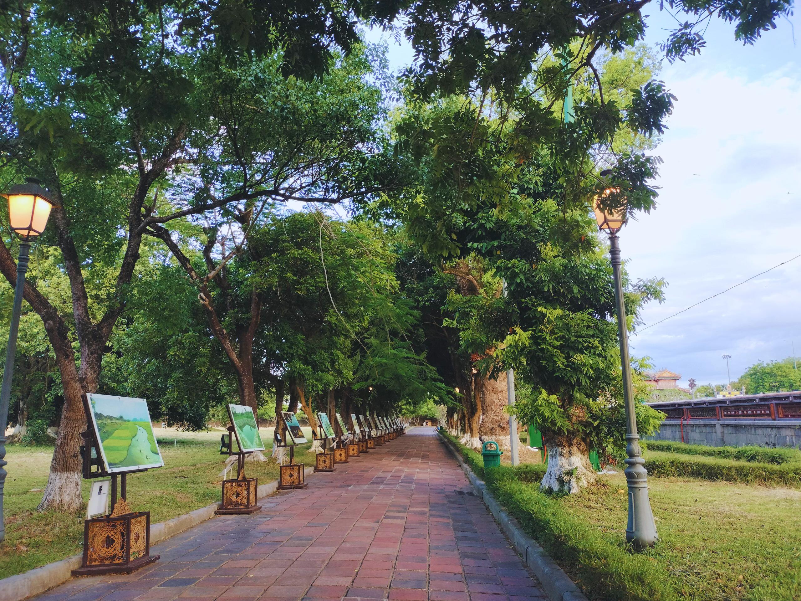 Private Guided Walking Tour: Hue Imperial Citadel
