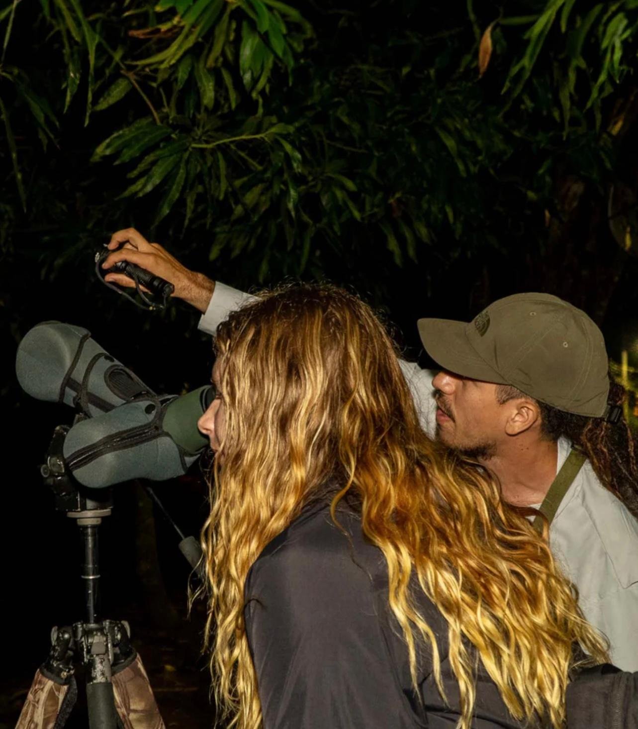 Manuel Antonio Night Wildlife Walk with Expert Naturalist