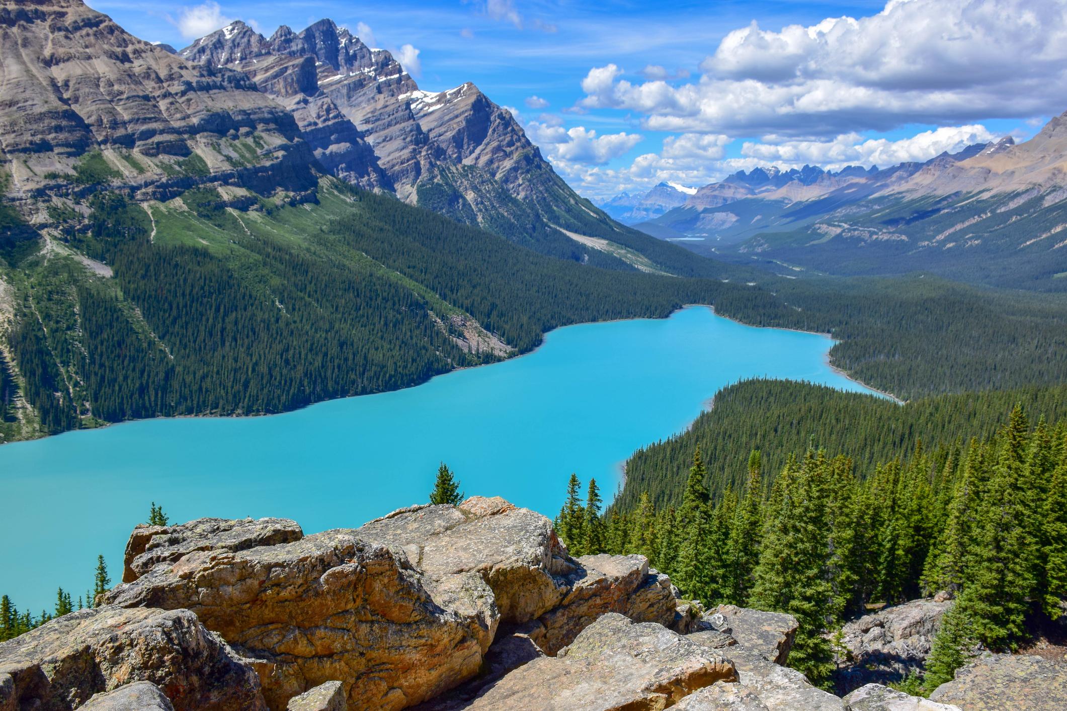 Sunwapta & Athabasca Falls, Peyto & Bow Lake, Icefields Parkway