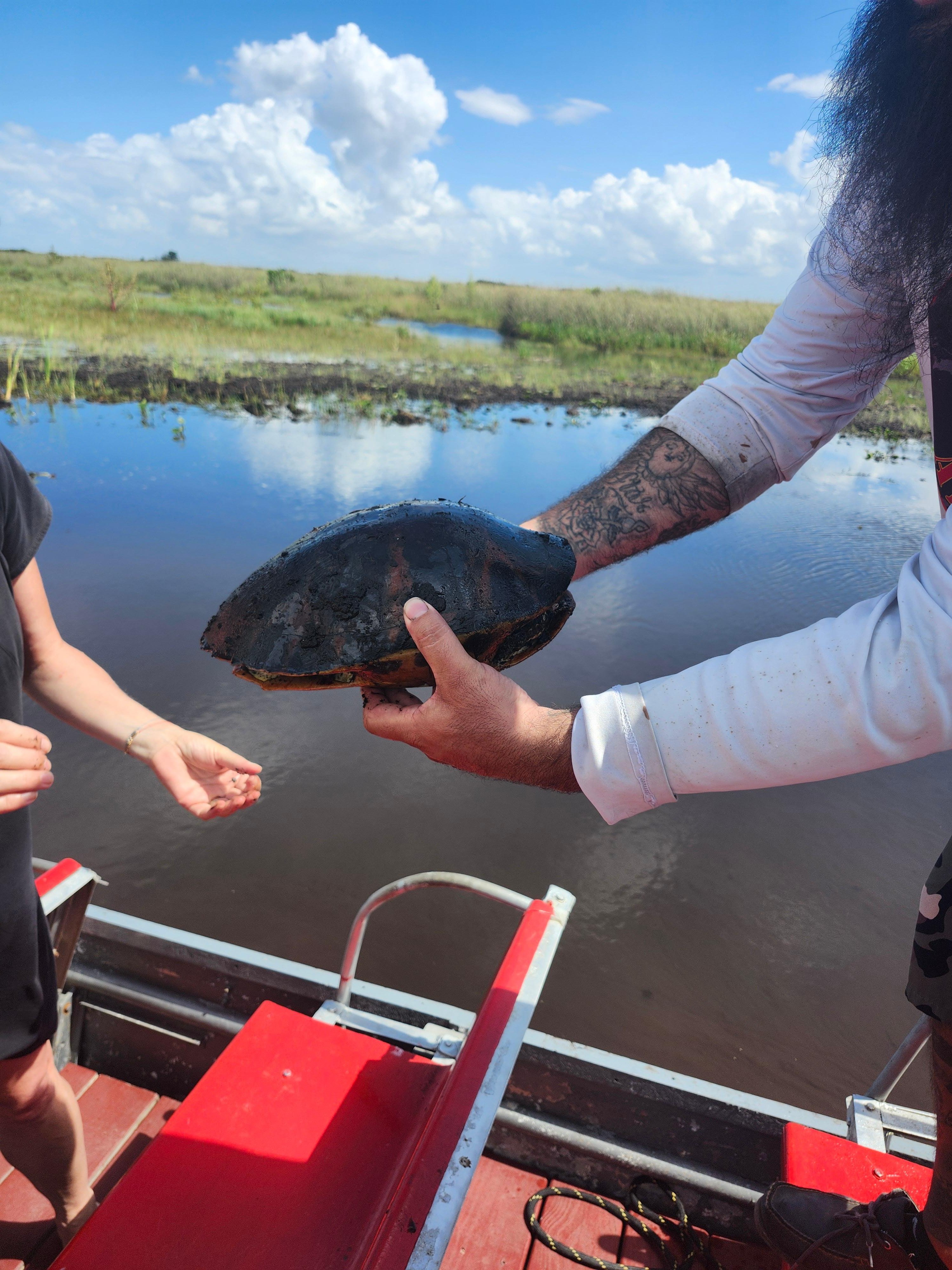 Everglades Eco Tour: Small-Group Airboat & Wildlife - 2026 (Verified Reviews)