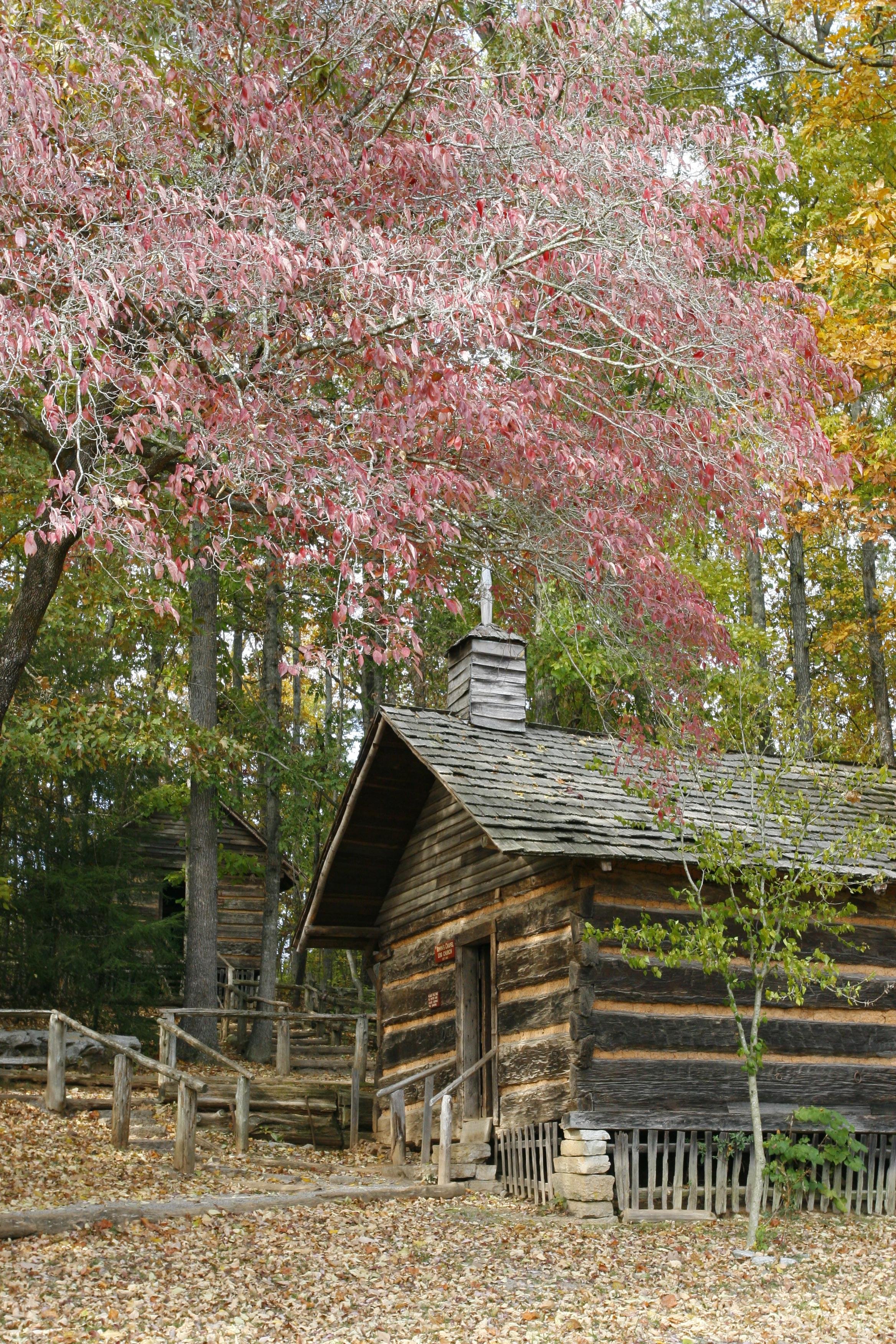 Museum of Appalachia: Immersive Heritage & Living History Entry
