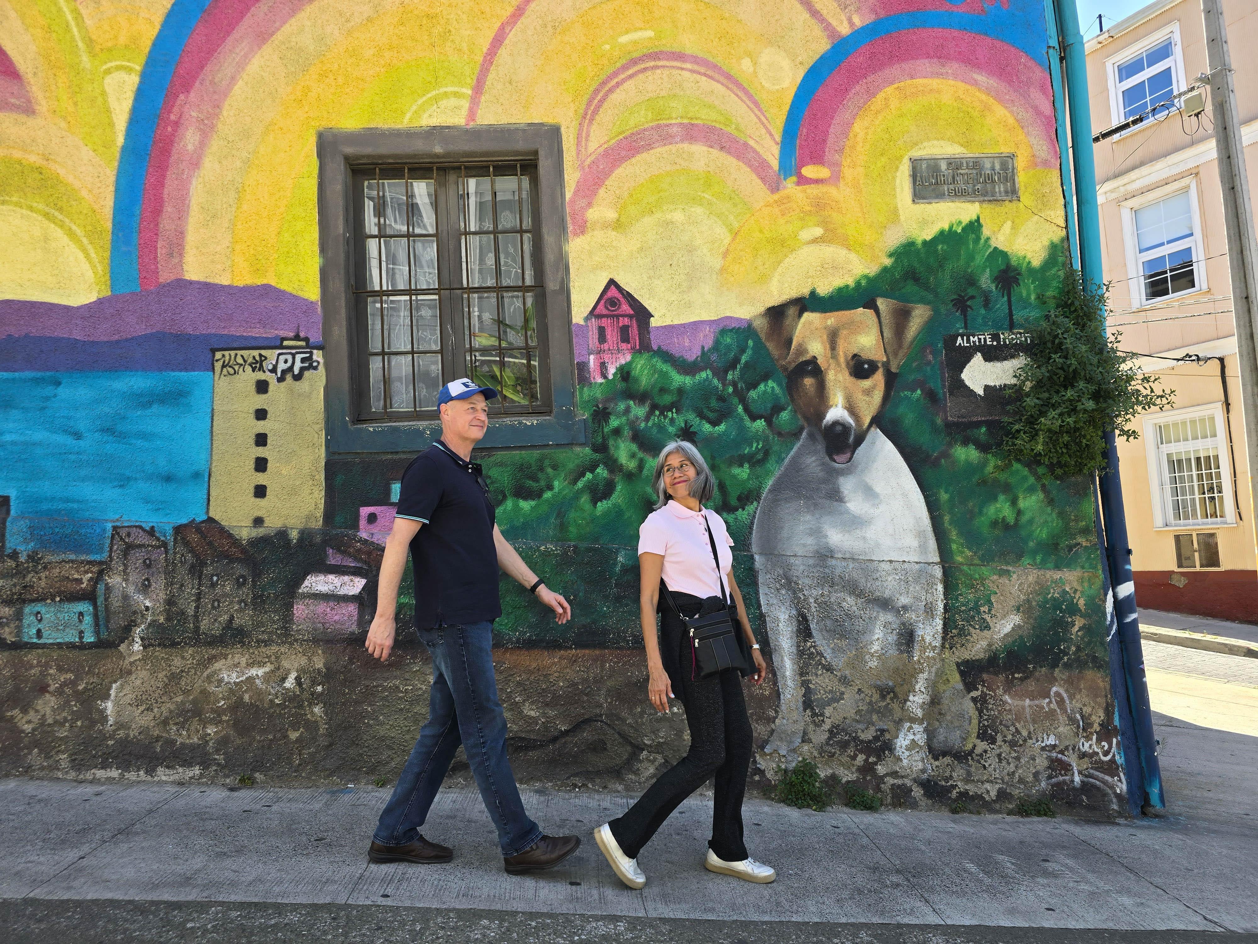 Valparaíso wine tour, the Casablanca Valley and Valparaíso's hills — image 59