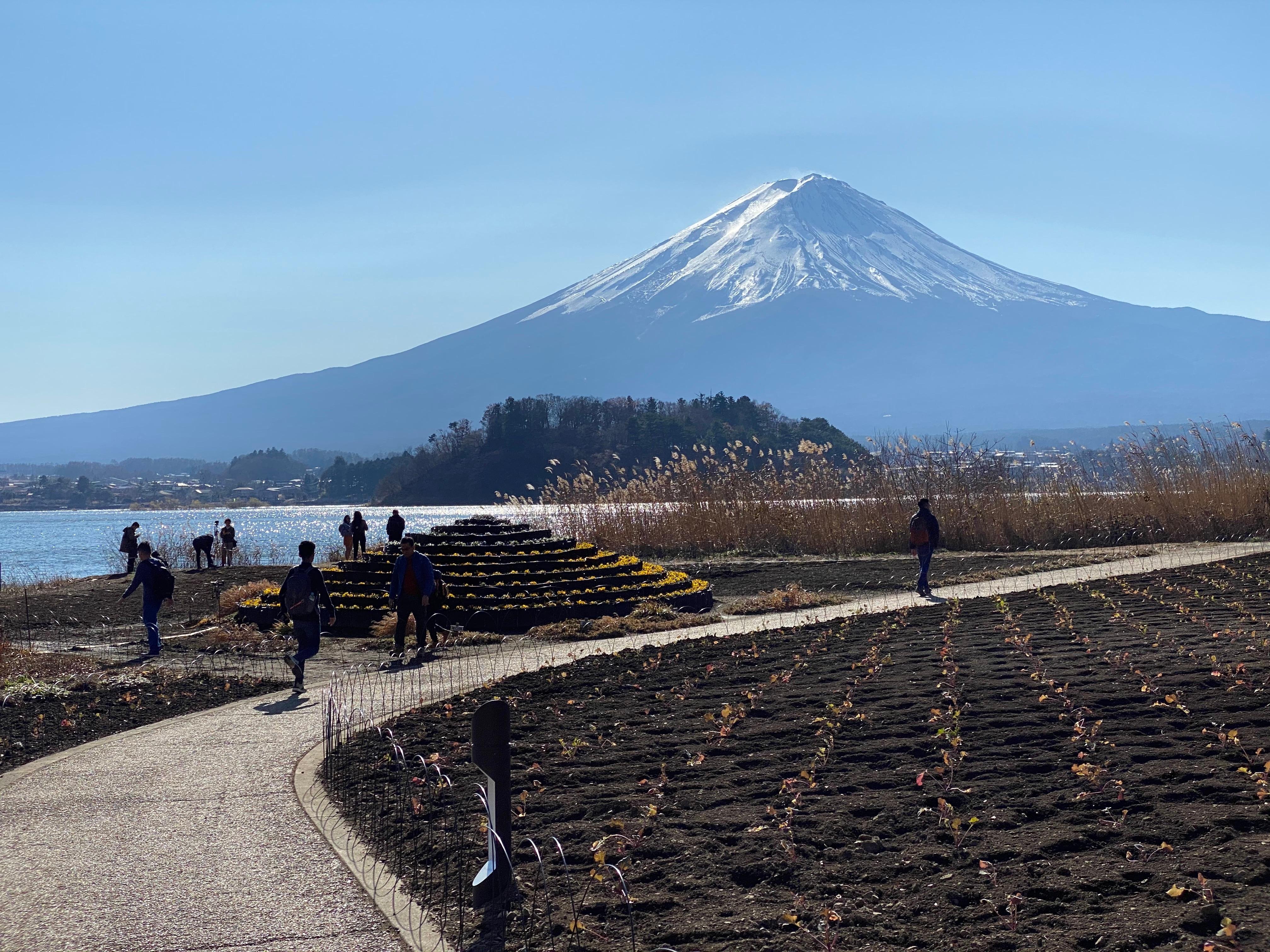 Mt. Fuji Private Full-Day Tour from Tokyo