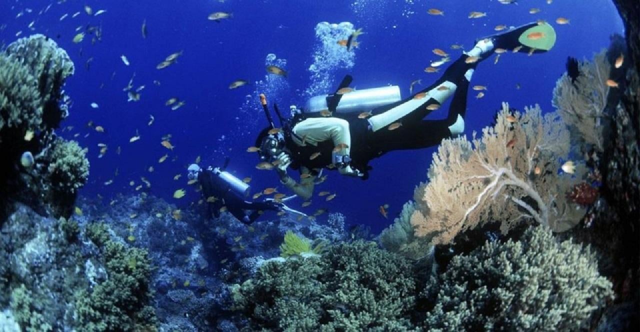 Cham Islands Snorkeling & Cultural Discovery