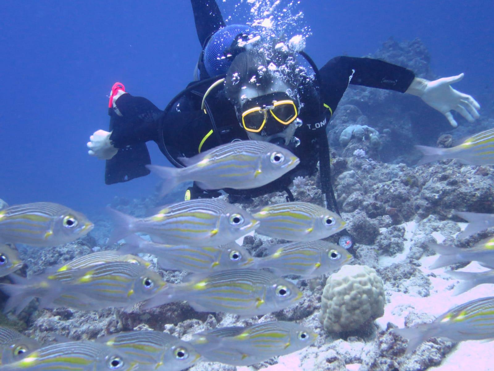 Belle Mare Scuba Discovery: East Coast Mauritius Dive