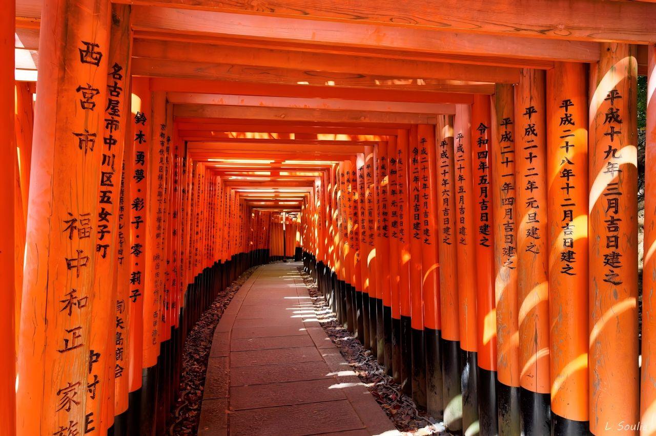 Nara, Fushimi Inari Taisha, and Arashiyama Day Tour from Osaka/Kyoto