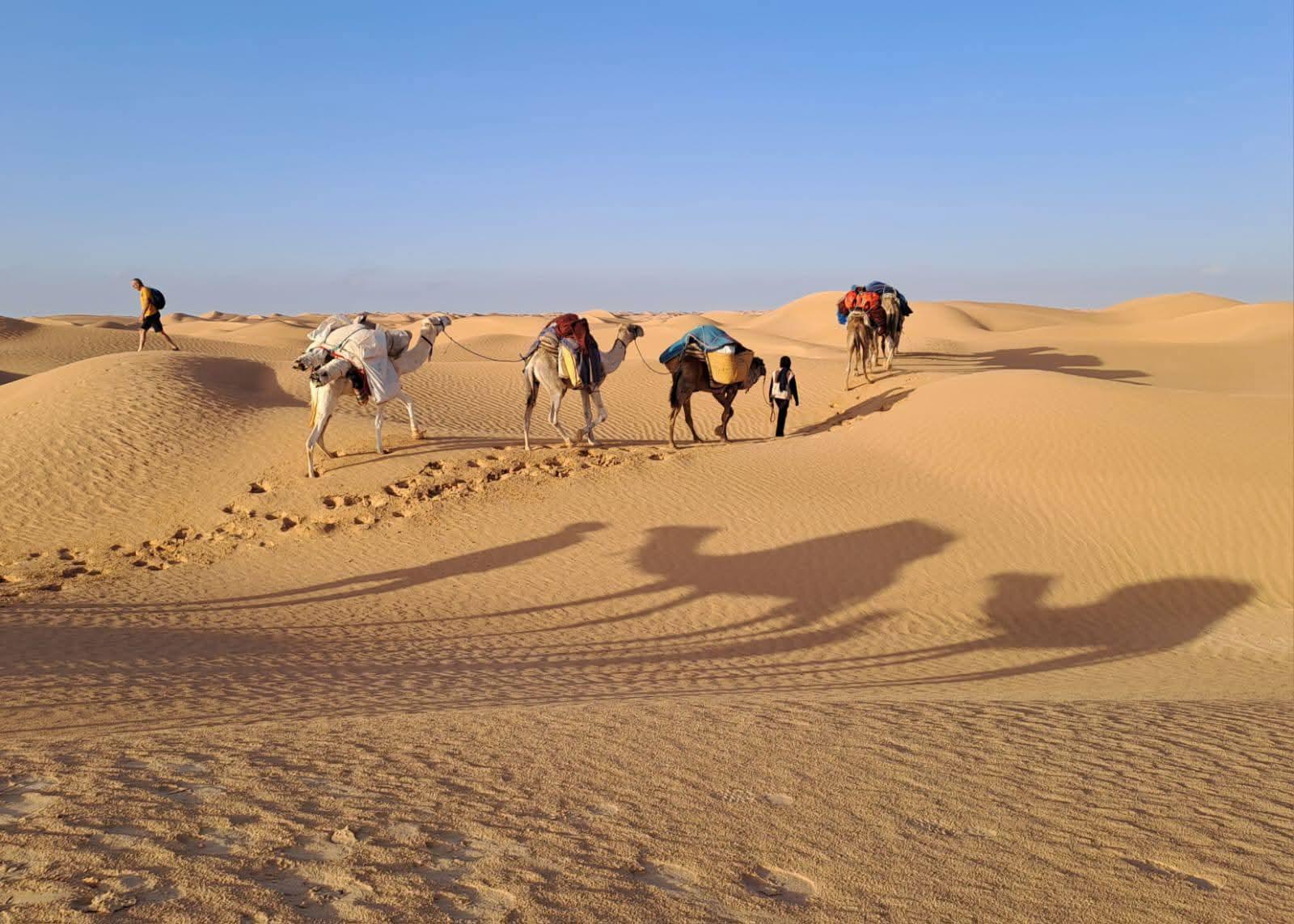 2-Day Sahara Desert & Star Wars Adventure from Tunis