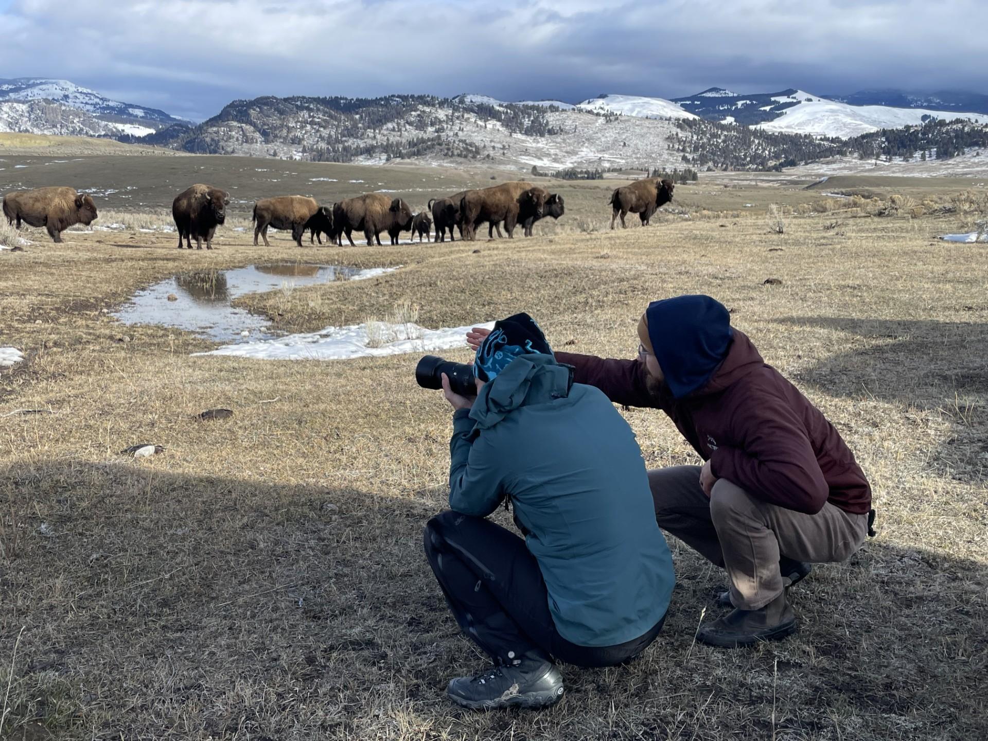 Badlands Wildlife Photography Adventure