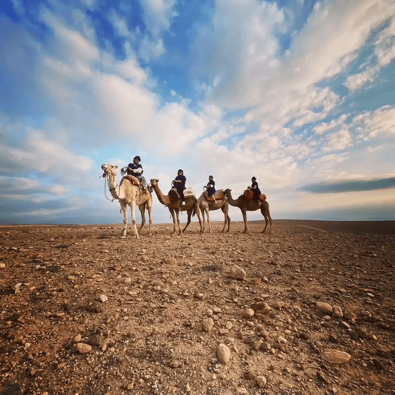 Agafay Desert Evening: Quad, Camel Ride & Dinner Under the Stars