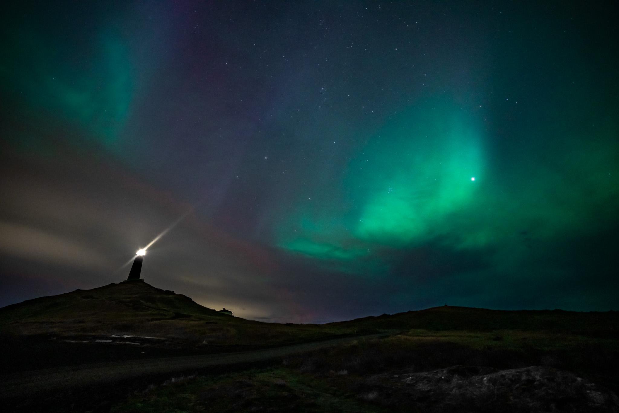 Reykjavik Northern Lights Minibus Hunt with Hot Cocoa