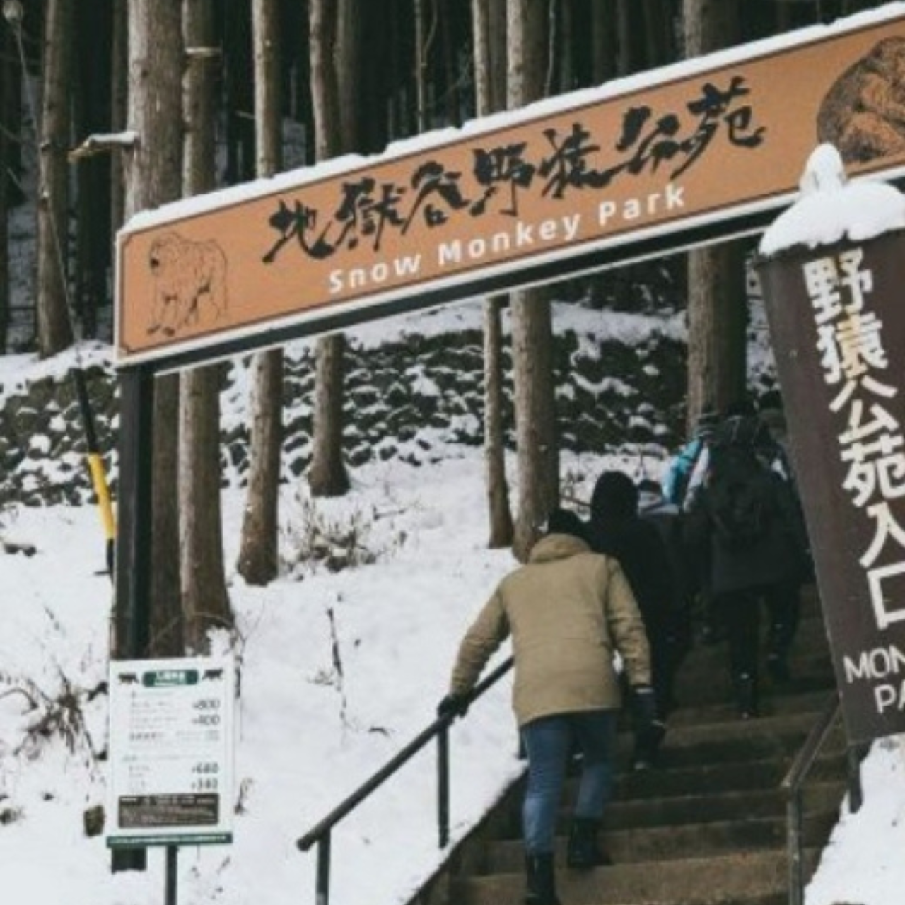 Nagano Private Day Tour: Snow Monkeys, Zenkoji Temple & More