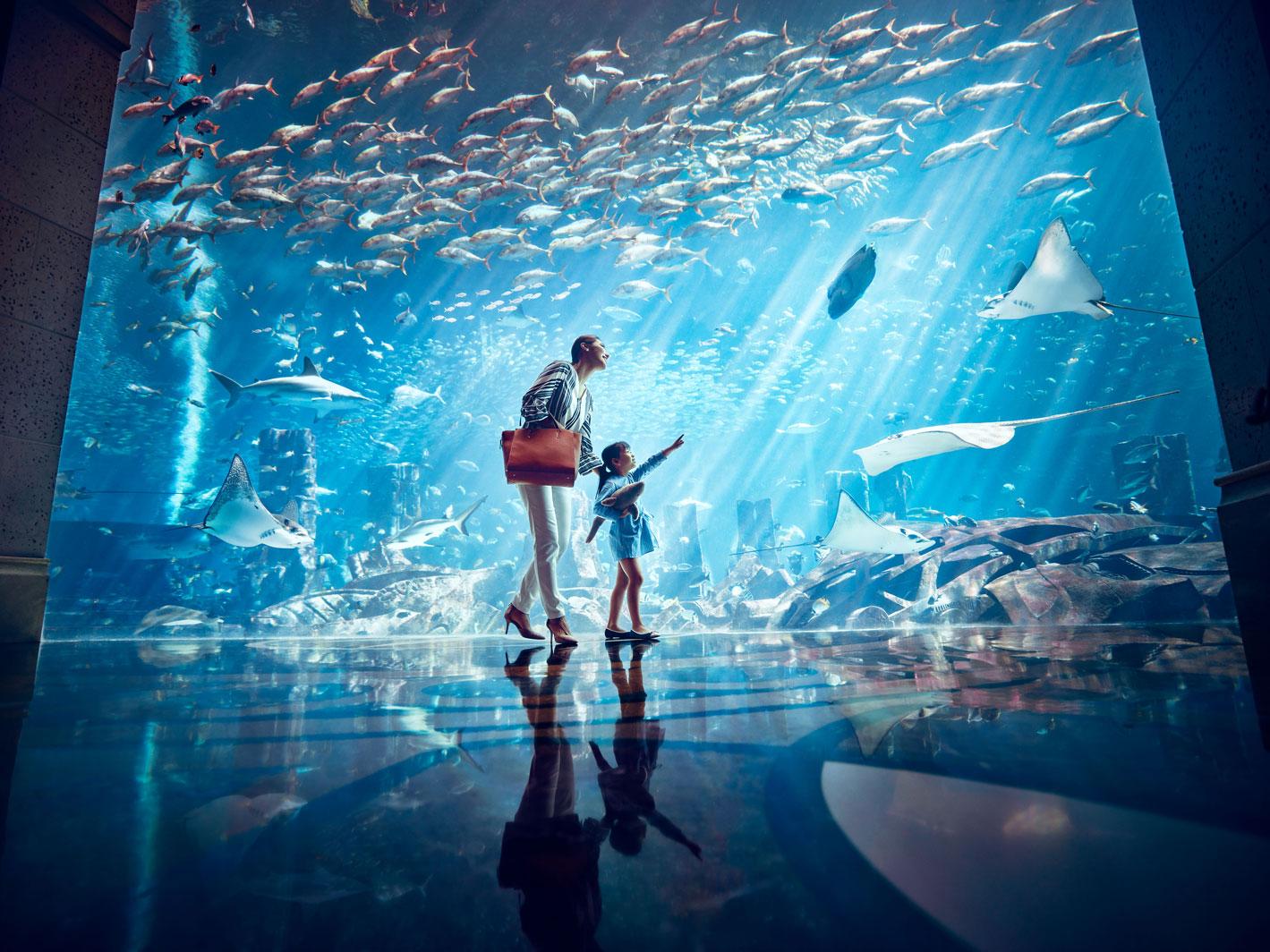 Dubai Lost World Aquarium Day Pass