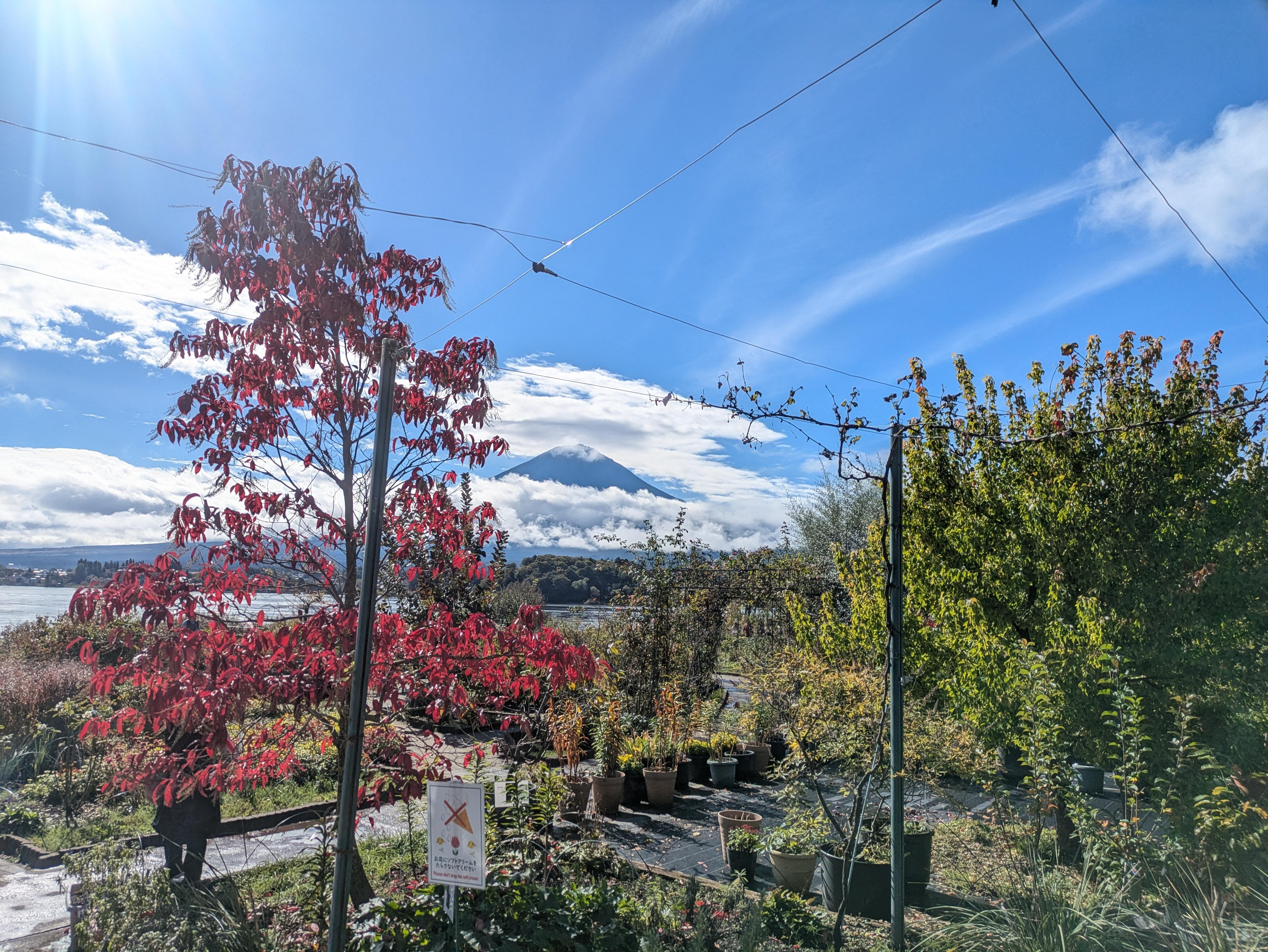 Private Mt. Fuji & Lake Kawaguchi Half-Day Excursion