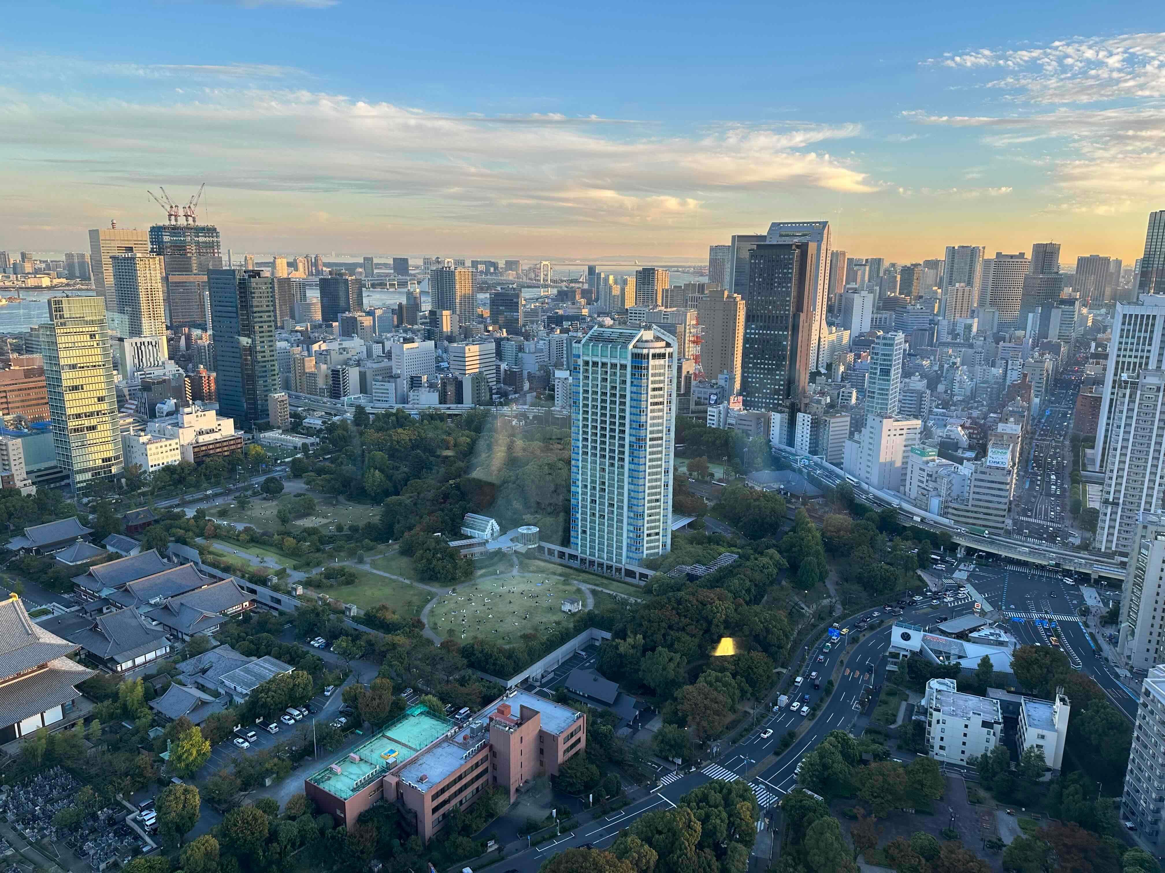 Dynamic Tokyo Full-Day Tour: Tea Ceremony, Buffet Lunch & Bay Cruise