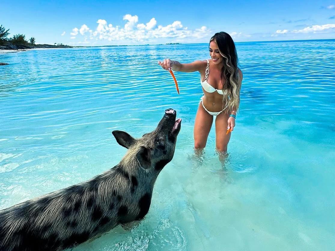 Rose Island Swimming Pigs Water Taxi from Nassau