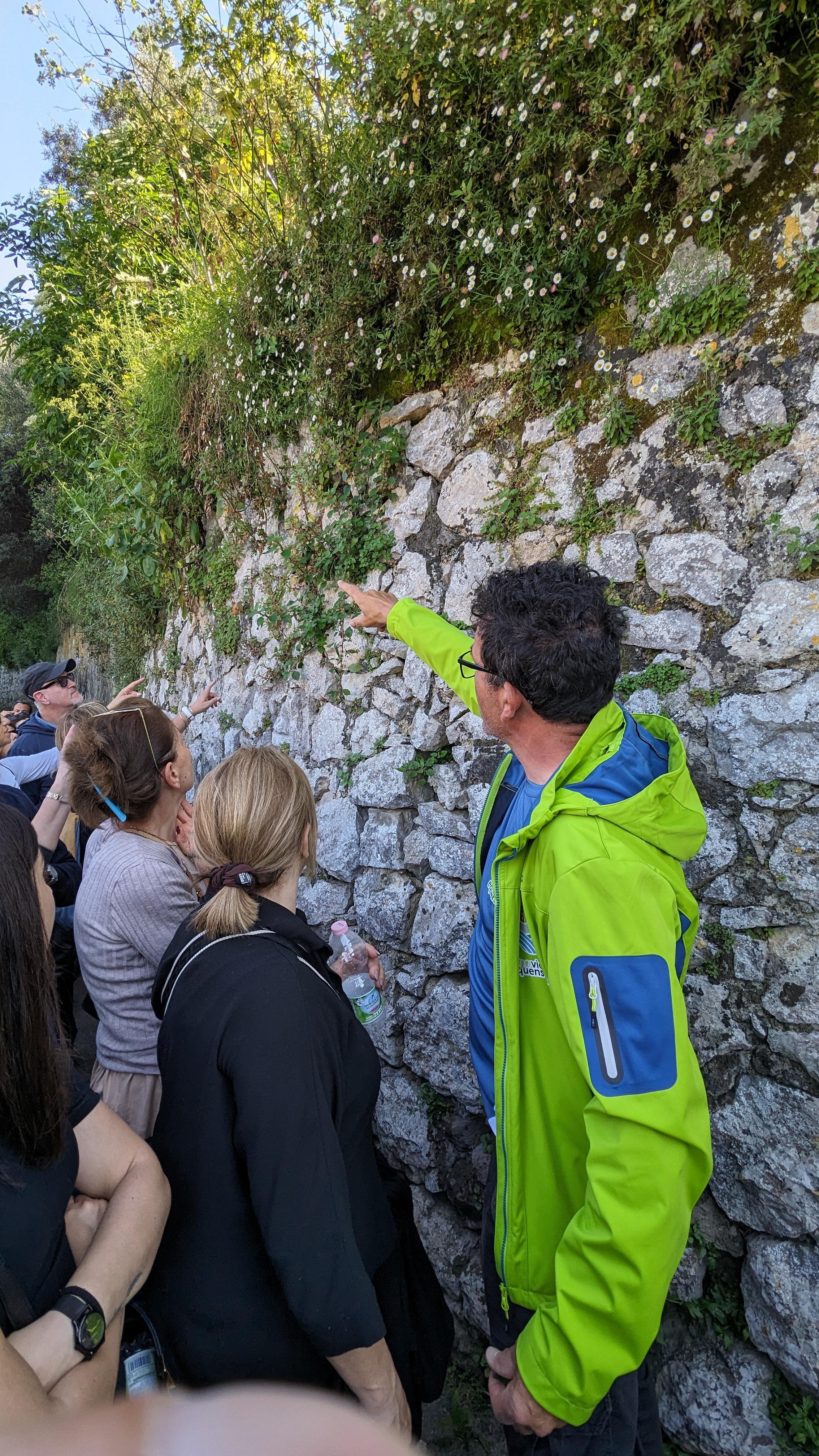 Path of the Gods Guided Hike with Transfer from Sorrento