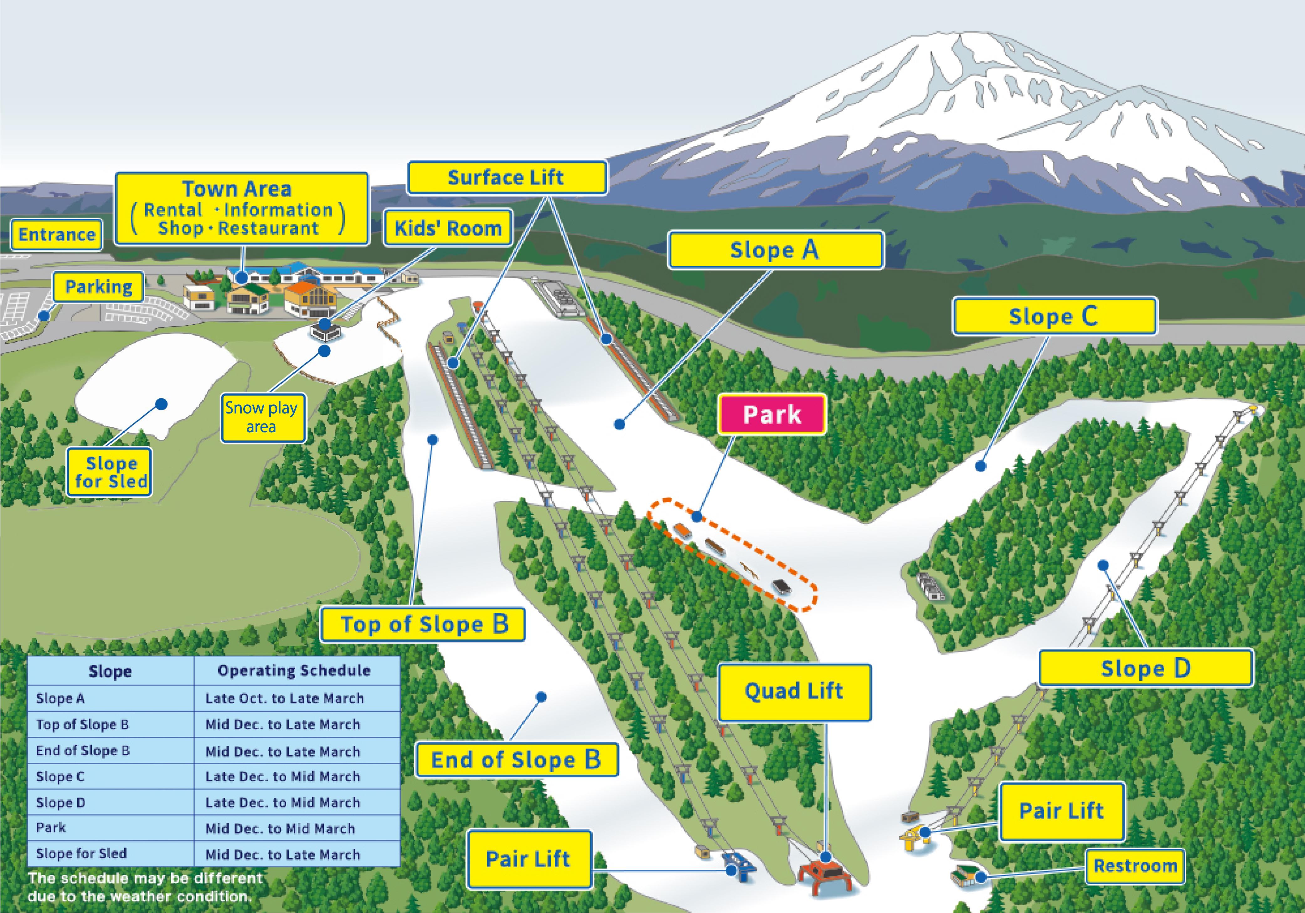 Mount Fuji Snow Day: Skiing & Winter Fun at Yeti Resort from Tokyo