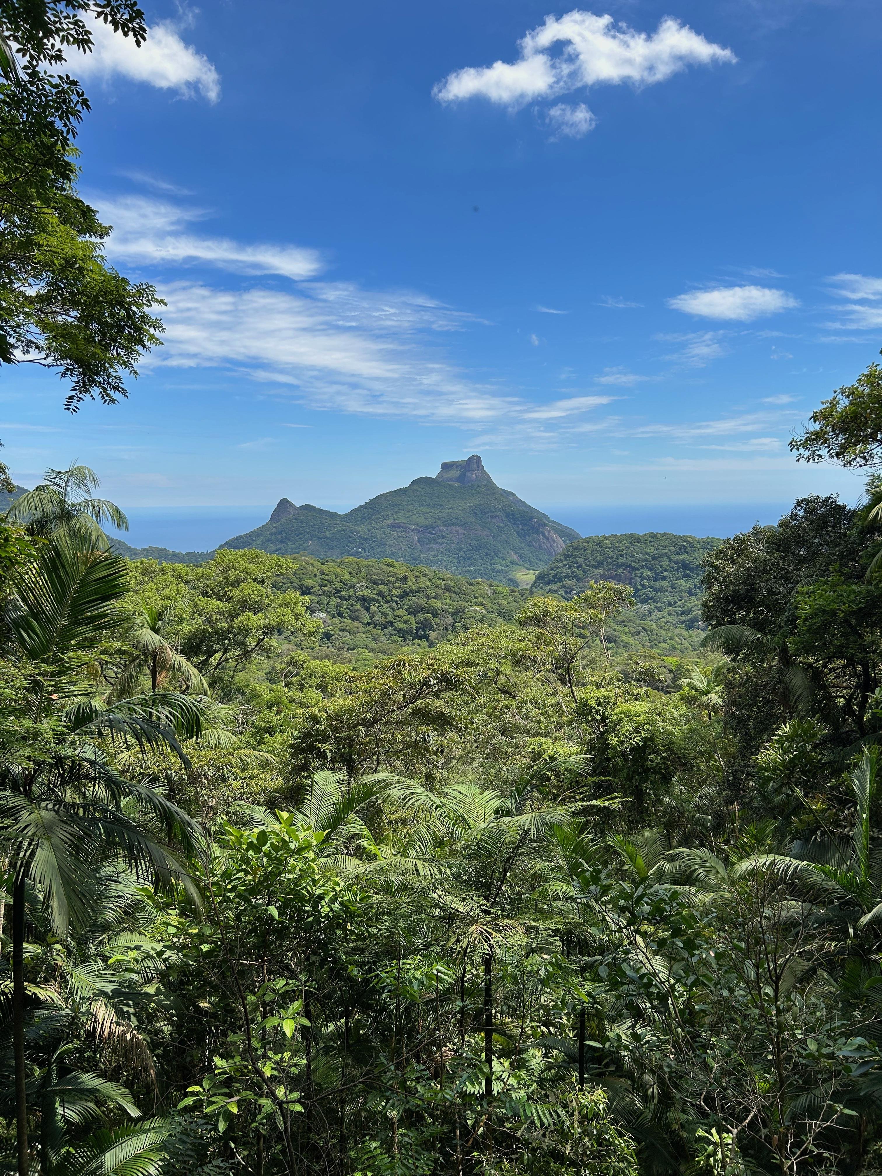 Tijuca National Park Rainforest Adventure