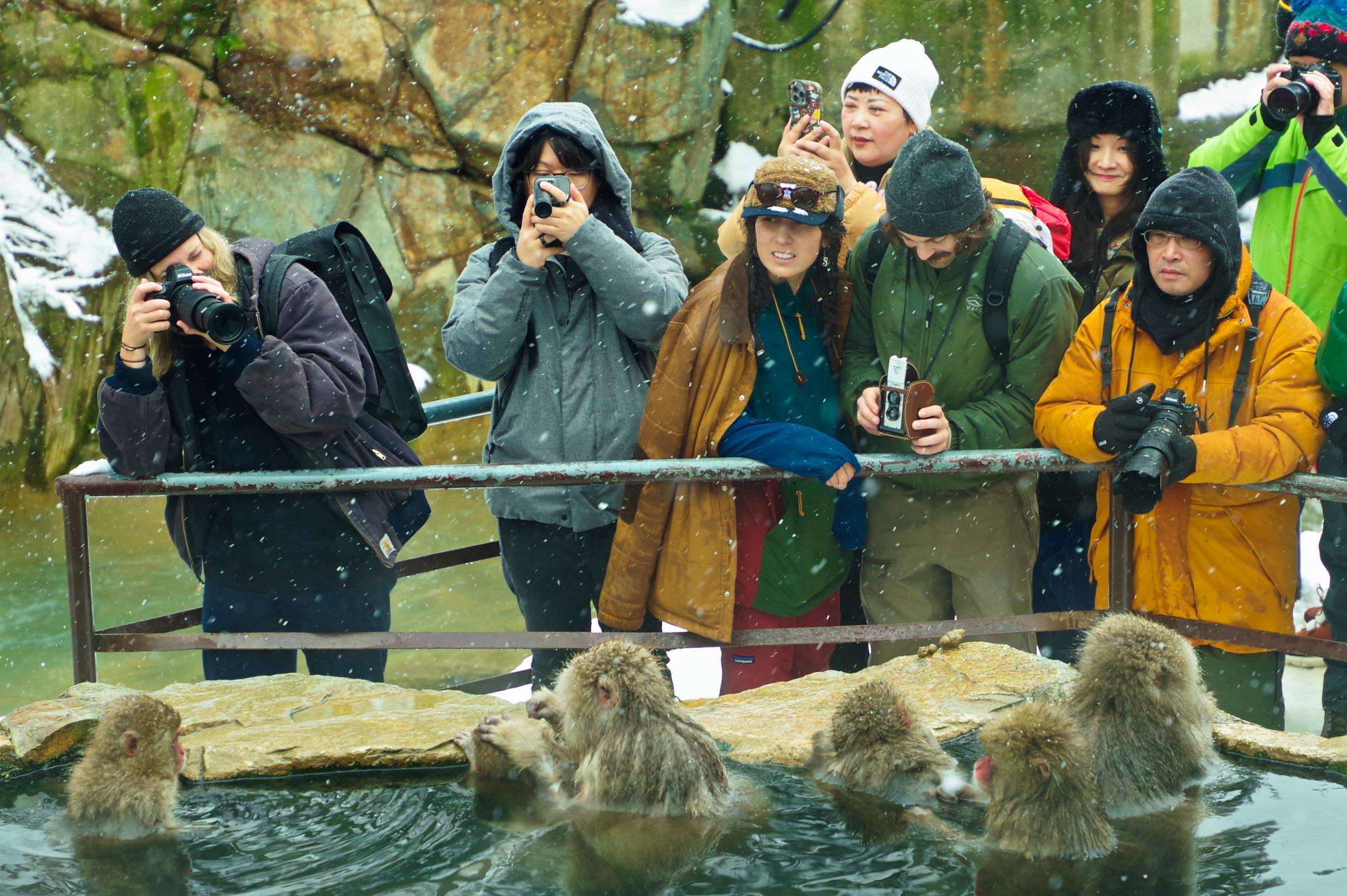 Nagano Snow Monkeys, Obuse & Sake Tasting Small-Group Tour