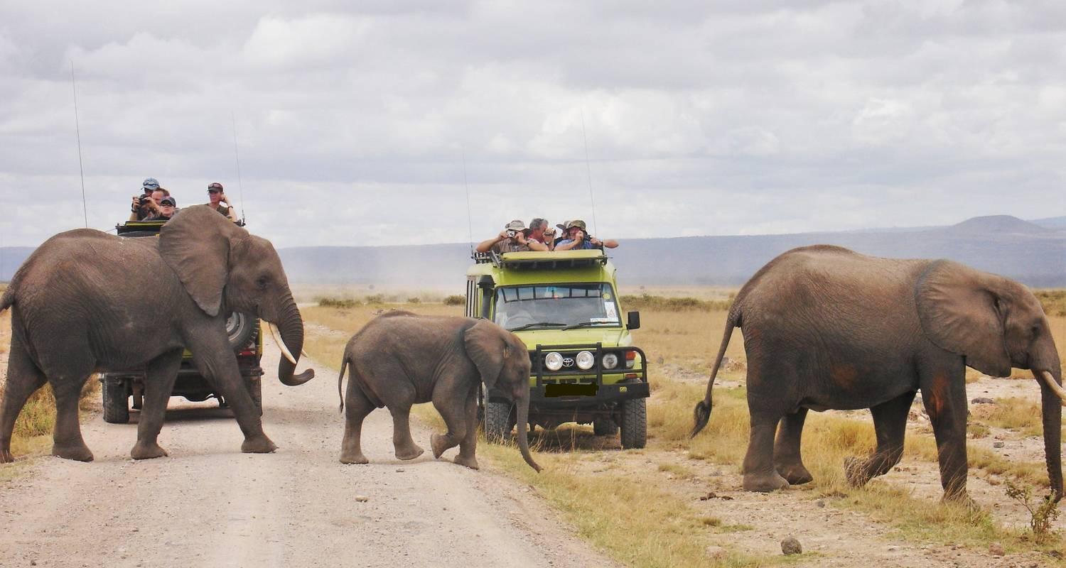 3-Day Masai Mara Safari: Luxury Sopa Lodge Experience