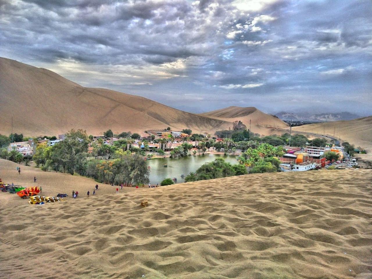 Excursión de un día a Paracas y Huacachina: vida silvestre, aventura en el desierto y cata de vinos