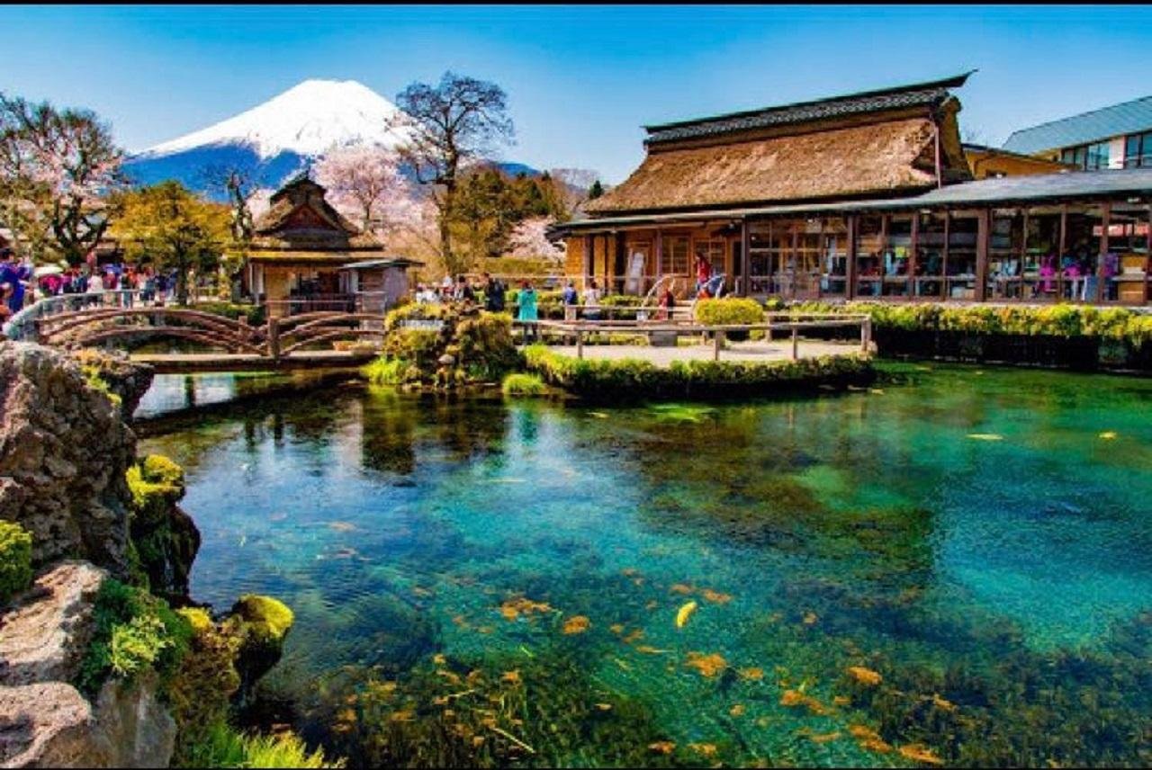 Mount Fuji Day Trip: Scenic Parks, Springs, and Photo Hotspots