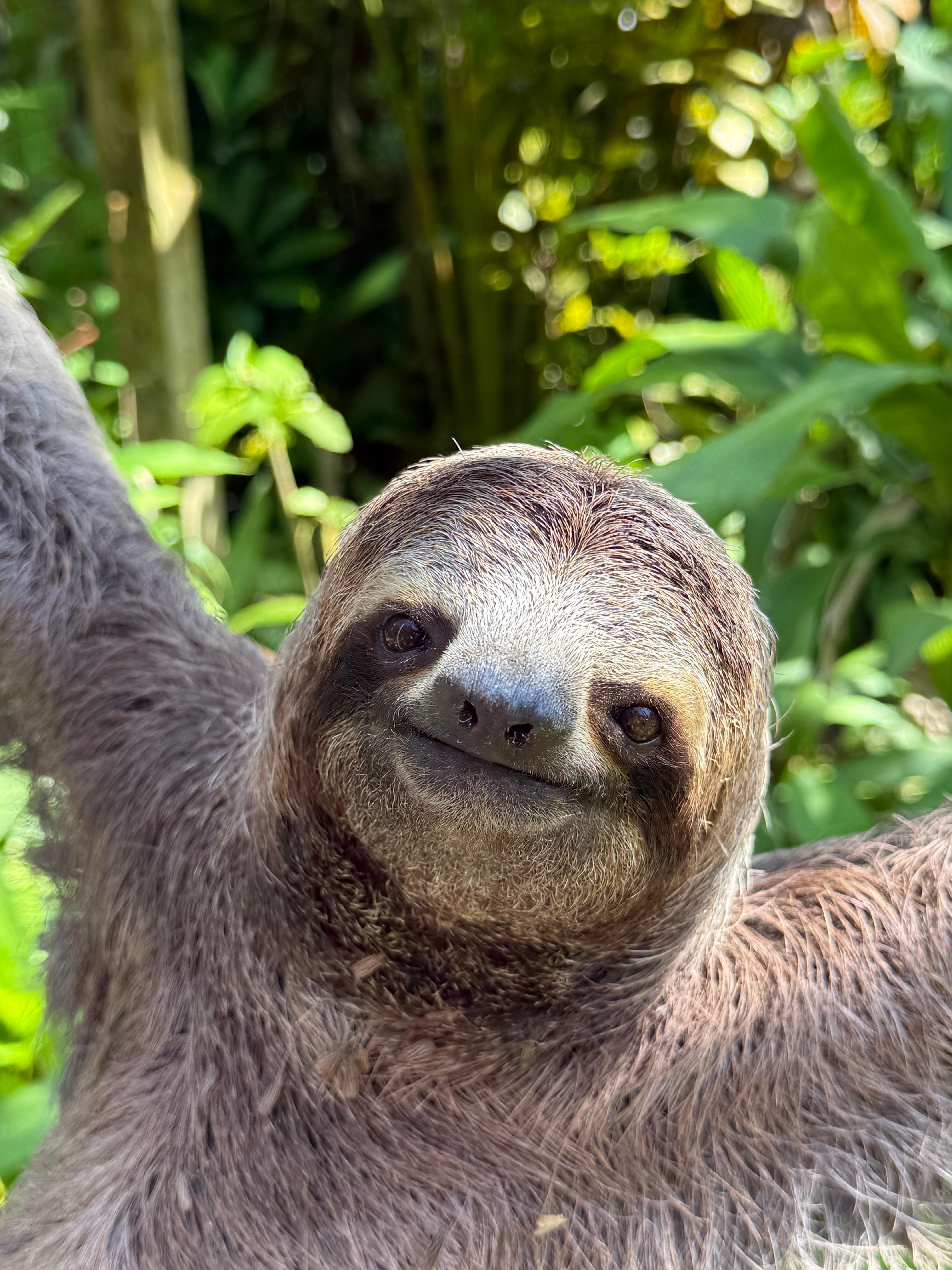 Manuel Antonio National Park: Wildlife Guided Tour with Entrance Fee