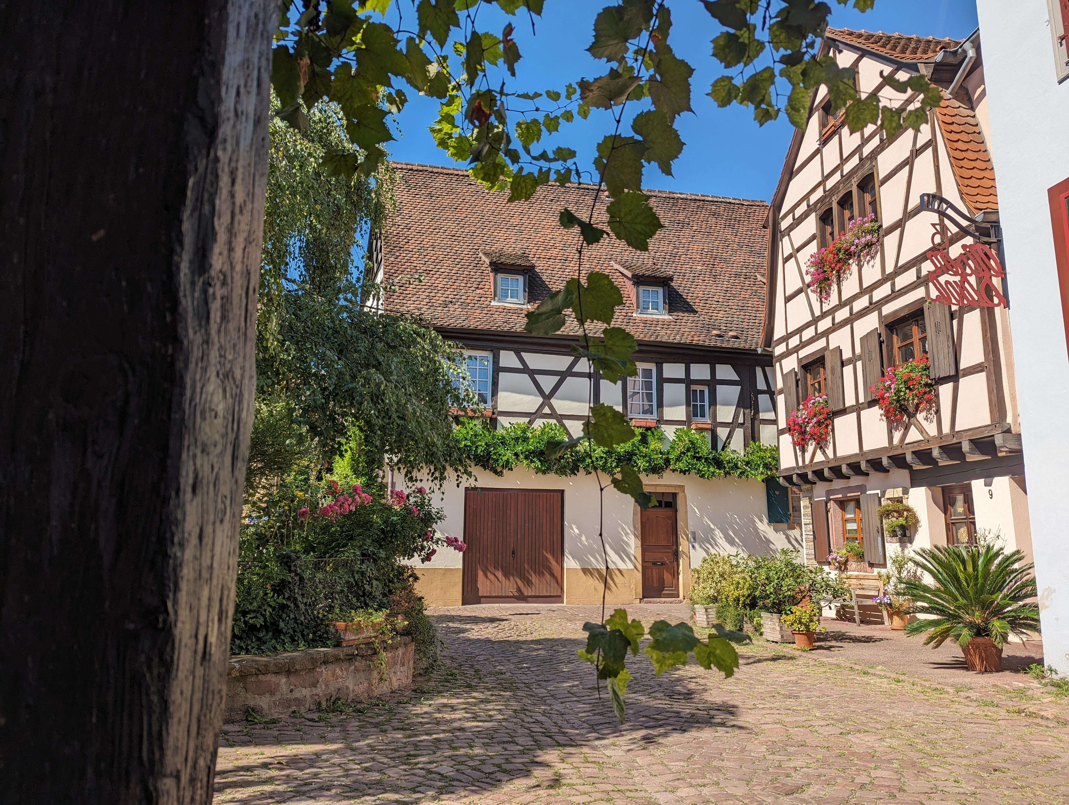 Colmar Hidden Gems Walking Tour with Local Guide