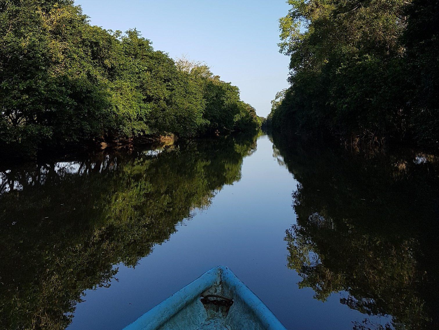 Tortuguero National Park Canoe Wildlife Tour