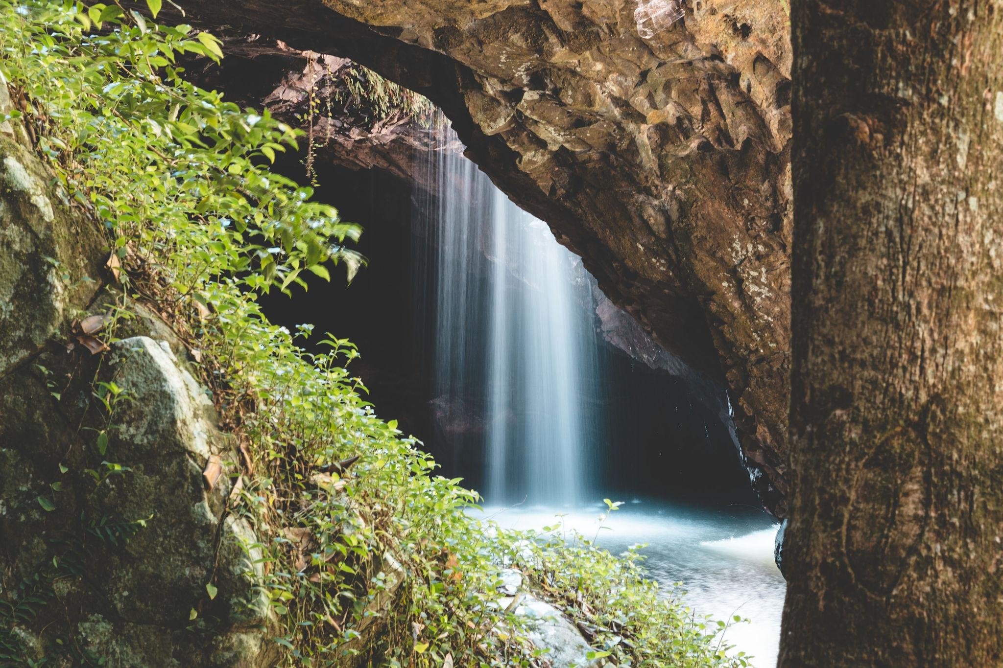 Brisbane: Rainforests, Waterfalls & Glow Worm Cave Full-Day Tour