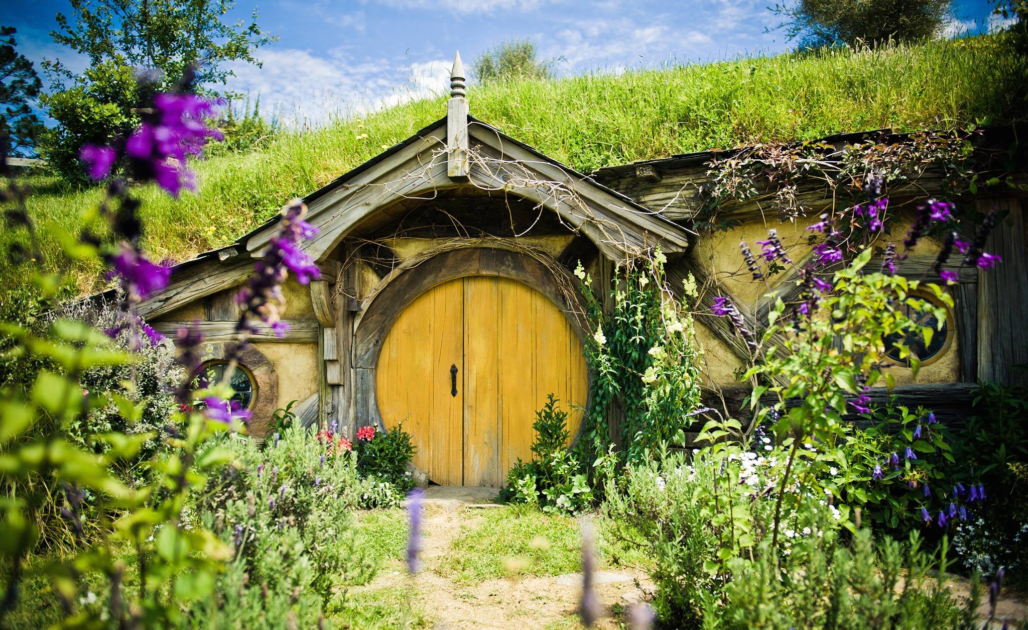 Rotorua: One-Way Trip to Auckland via Hobbiton & Waitomo