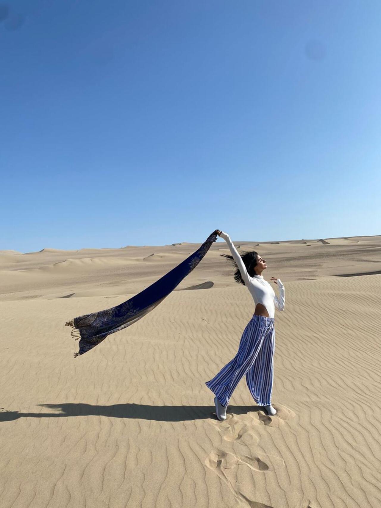 Excursión de un día a Paracas y Huacachina: vida silvestre, aventura en el desierto y cata de vinos