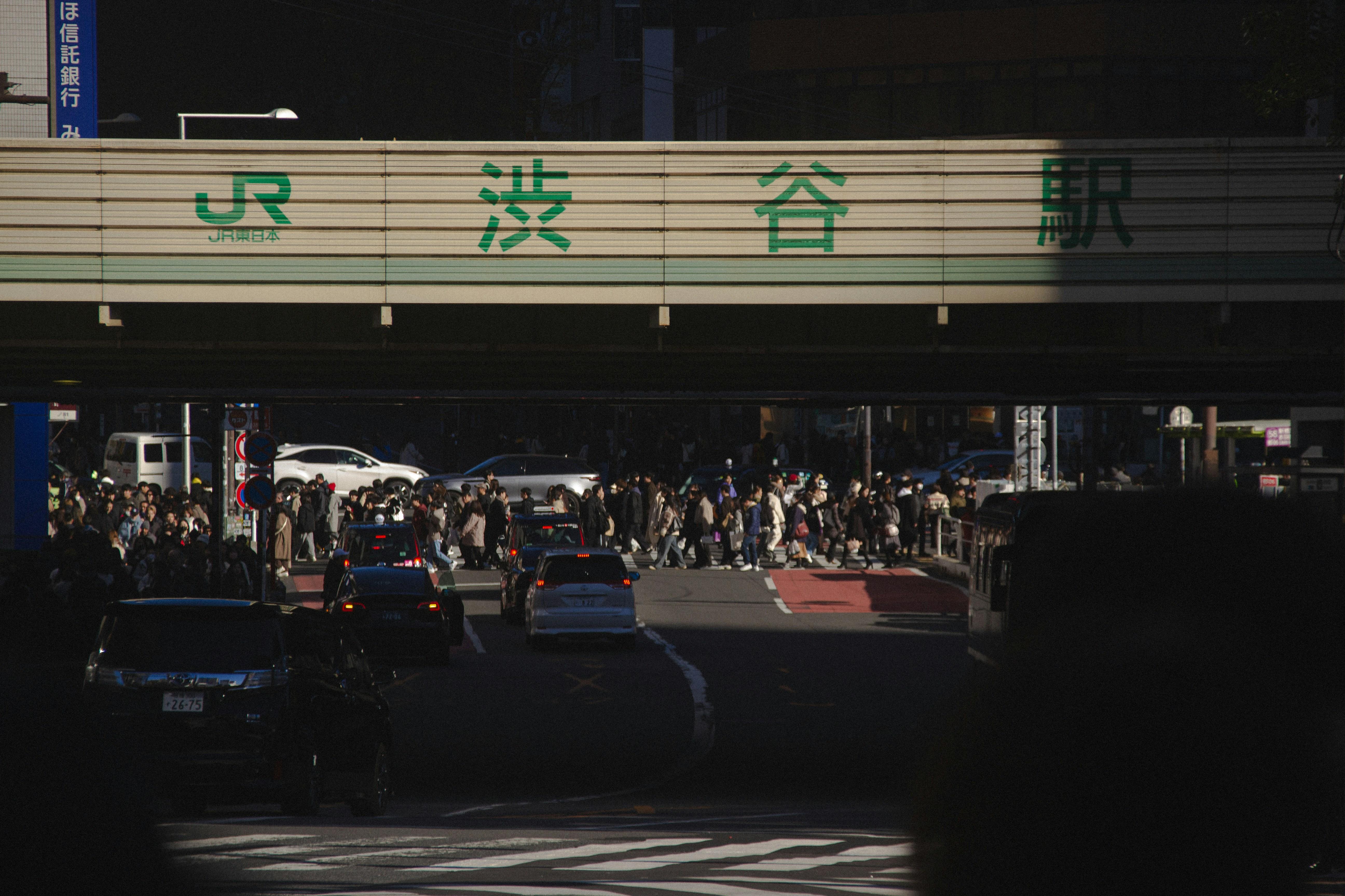 Shibuya Essentials: Hachiko, Sky & Street Culture Walking Tour