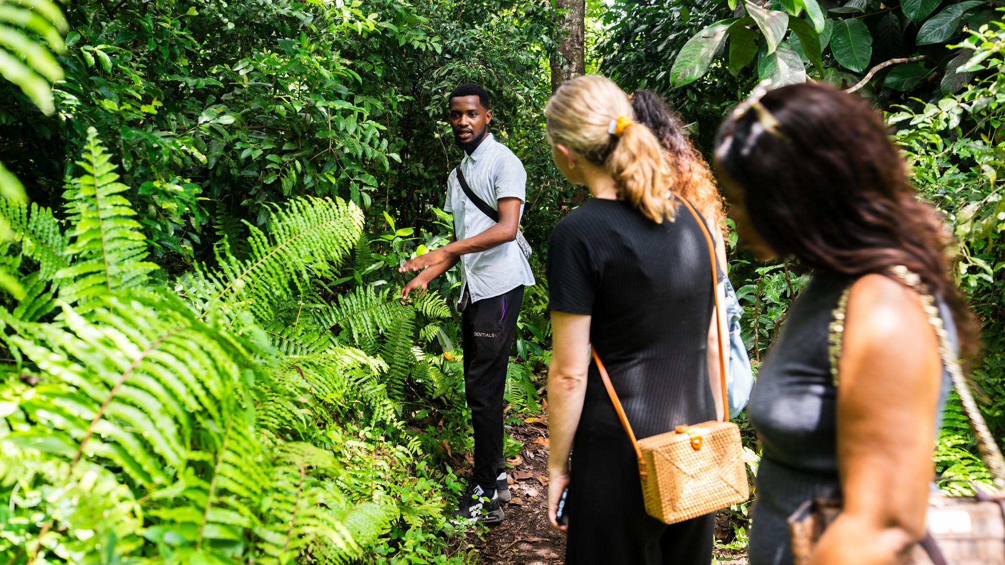 Zanzibar Hidden Gems: Secret Beach, Kuza Cave & Jozani Forest