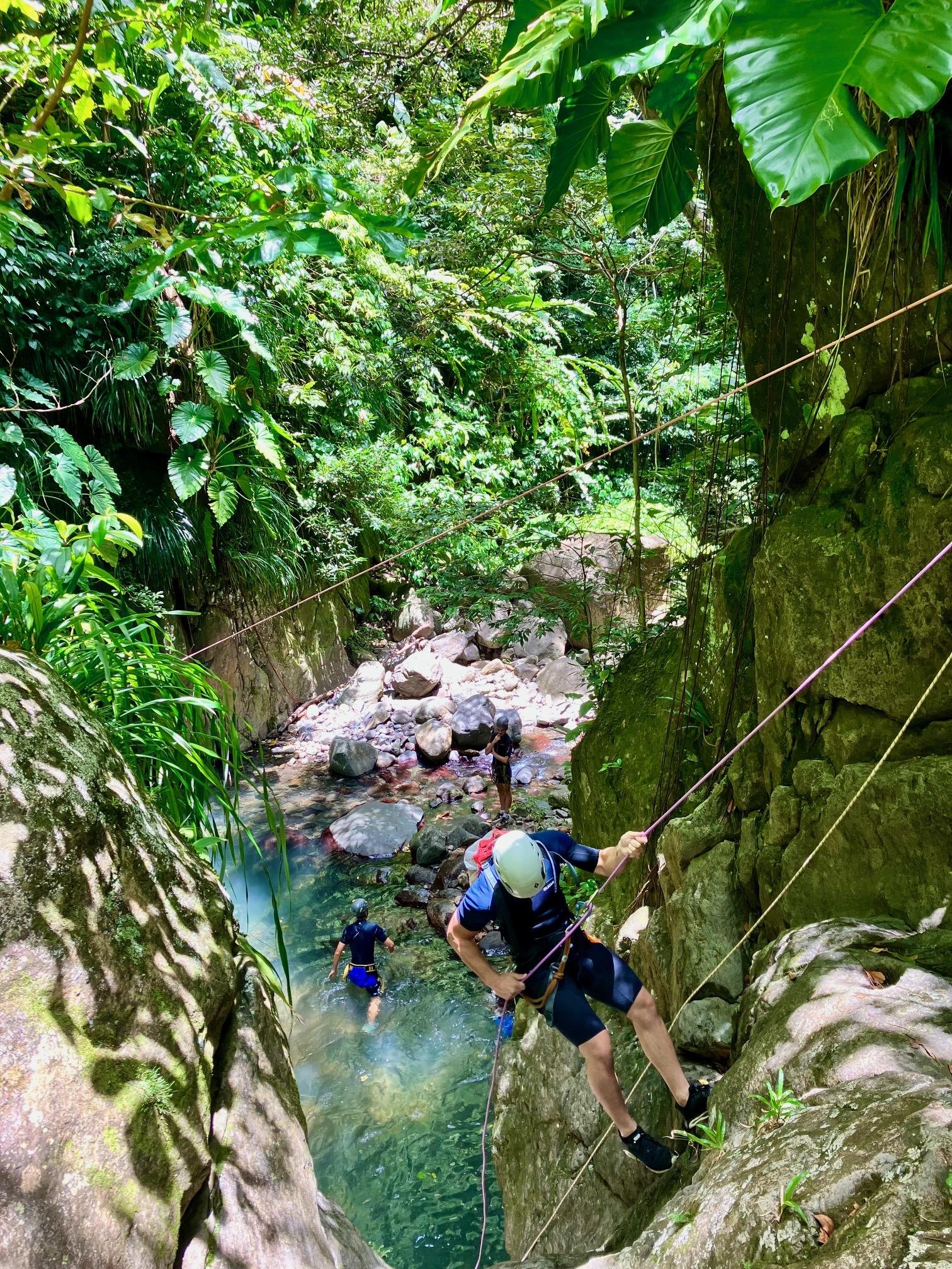 Bouillante Rainforest Canyoning Adventure