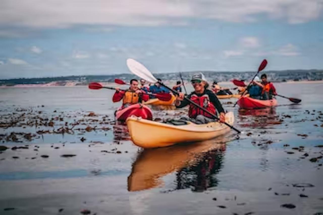 Monterey Bay & Cannery Row Guided Kayak Tour