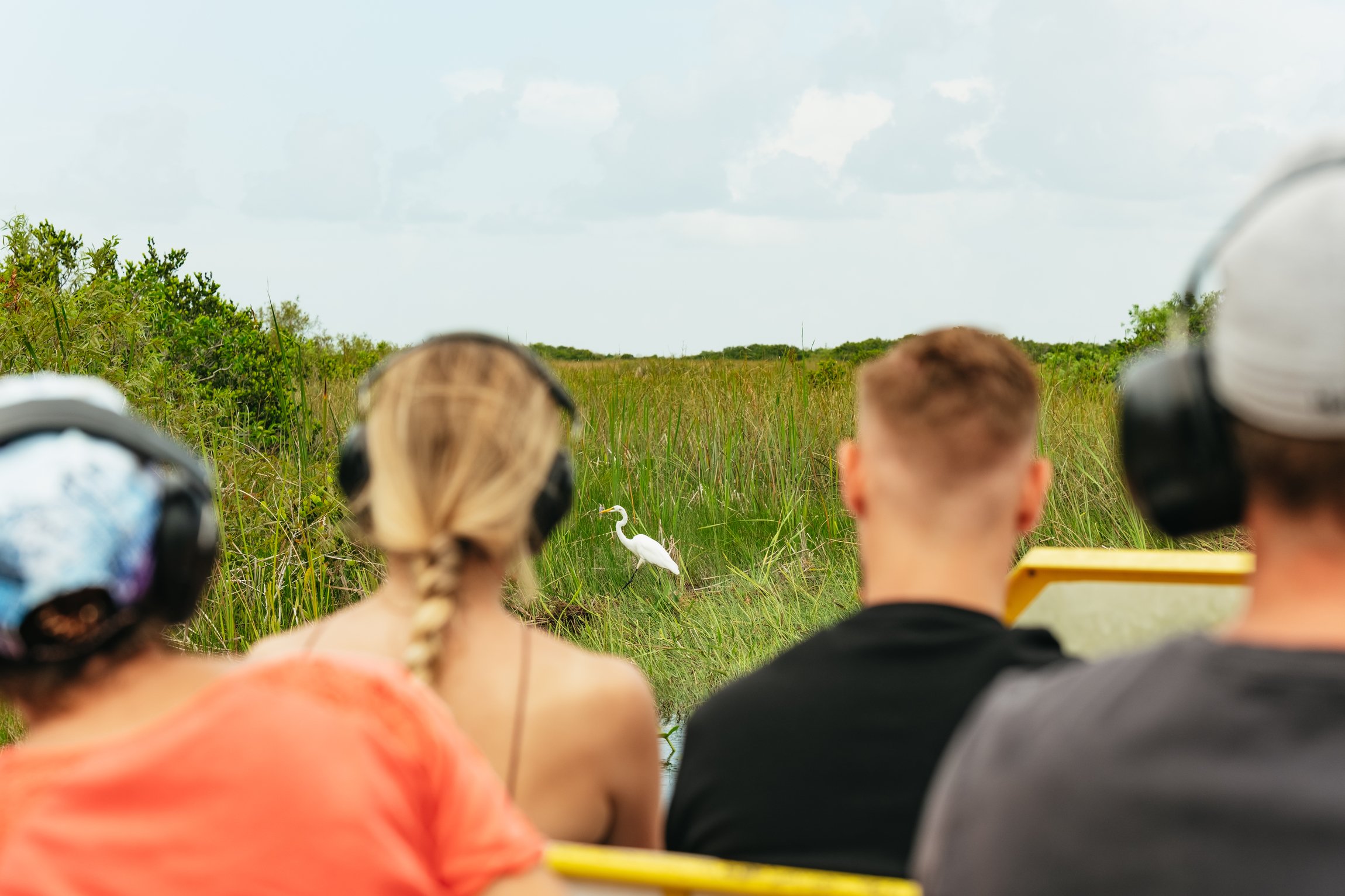 Everglades airboat tour skimming the River of Grass near Miami