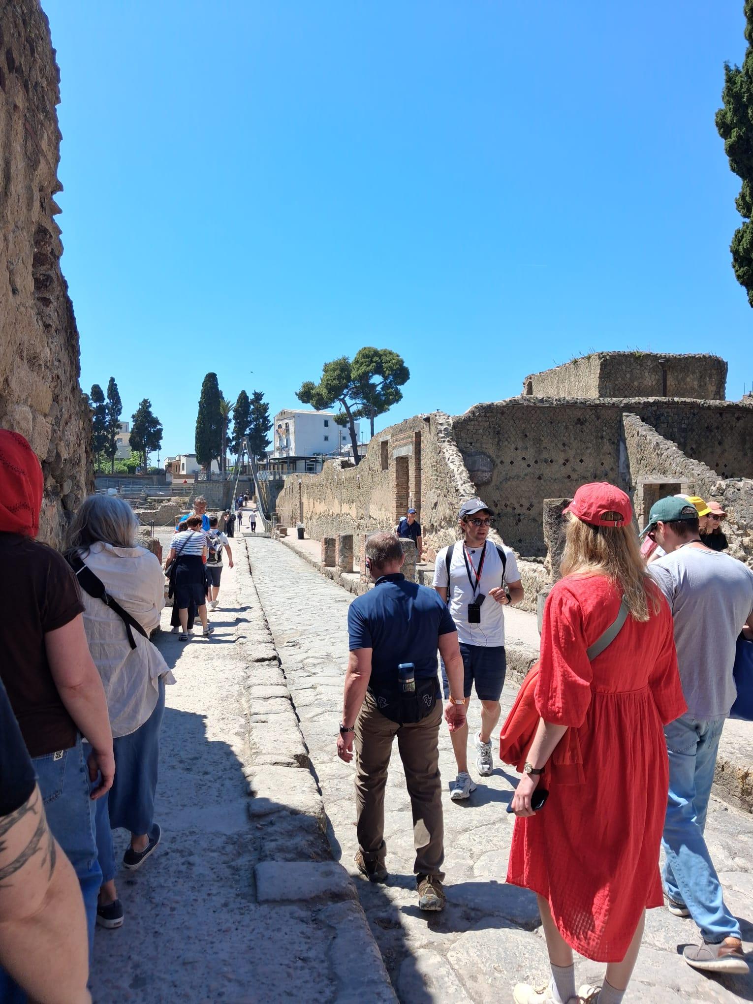 Sorrento to Herculaneum: Skip-the-Line Guided Tour by Express Train