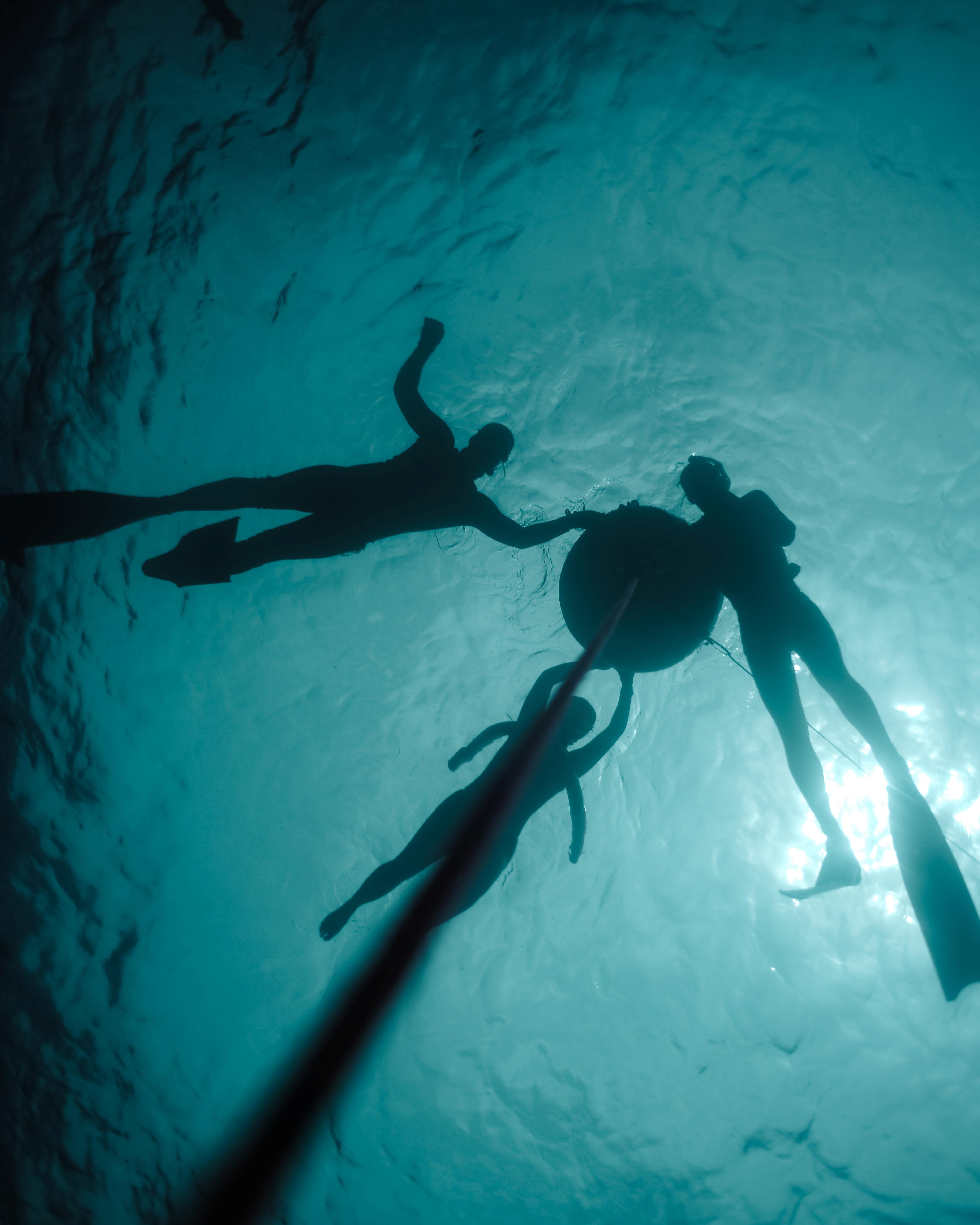 Discover Freediving Course in Playa Flamingo