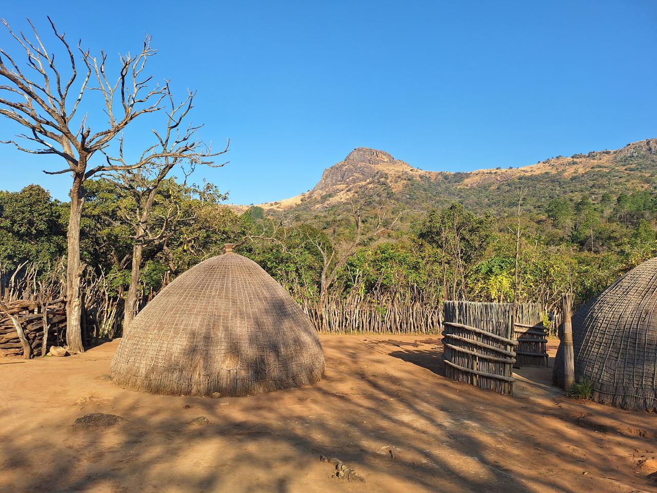 Hlane Royal Park Safari & Swazi Culture Day Tour from Maputo